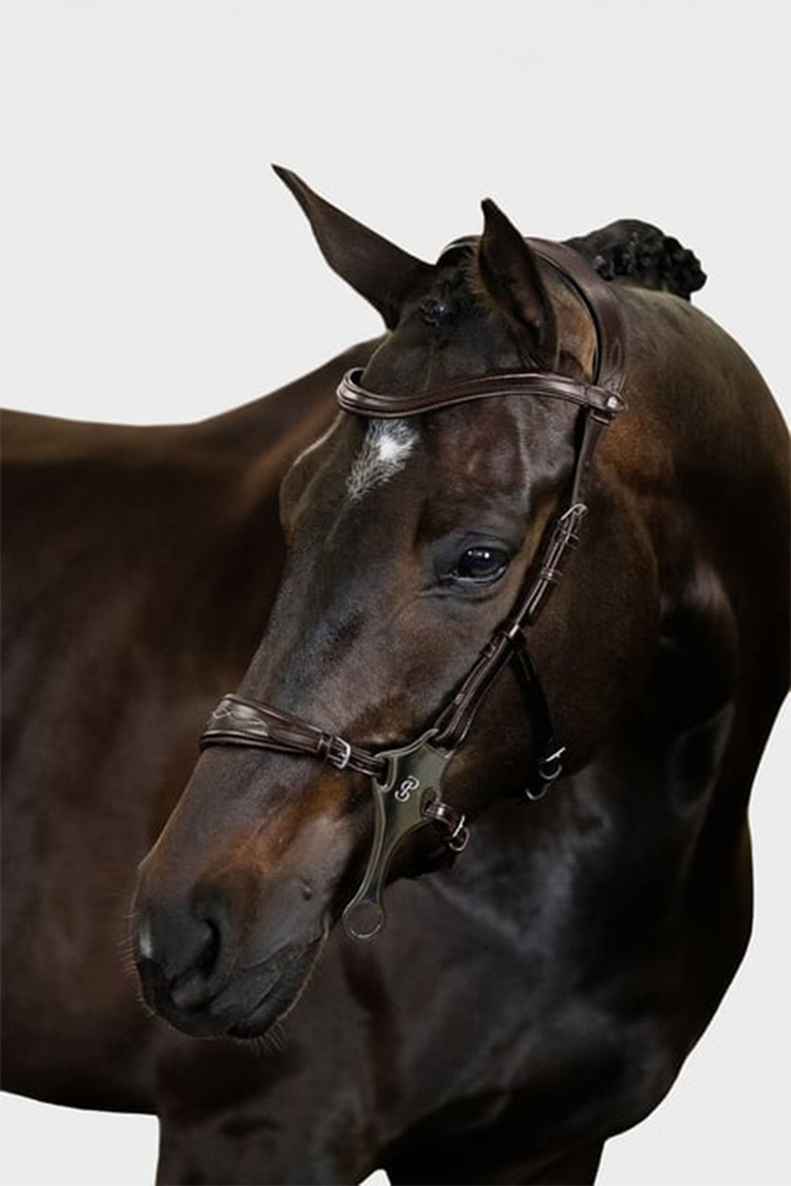 PS of Sweden Bridle Hackamore Sport Bridles & Reins