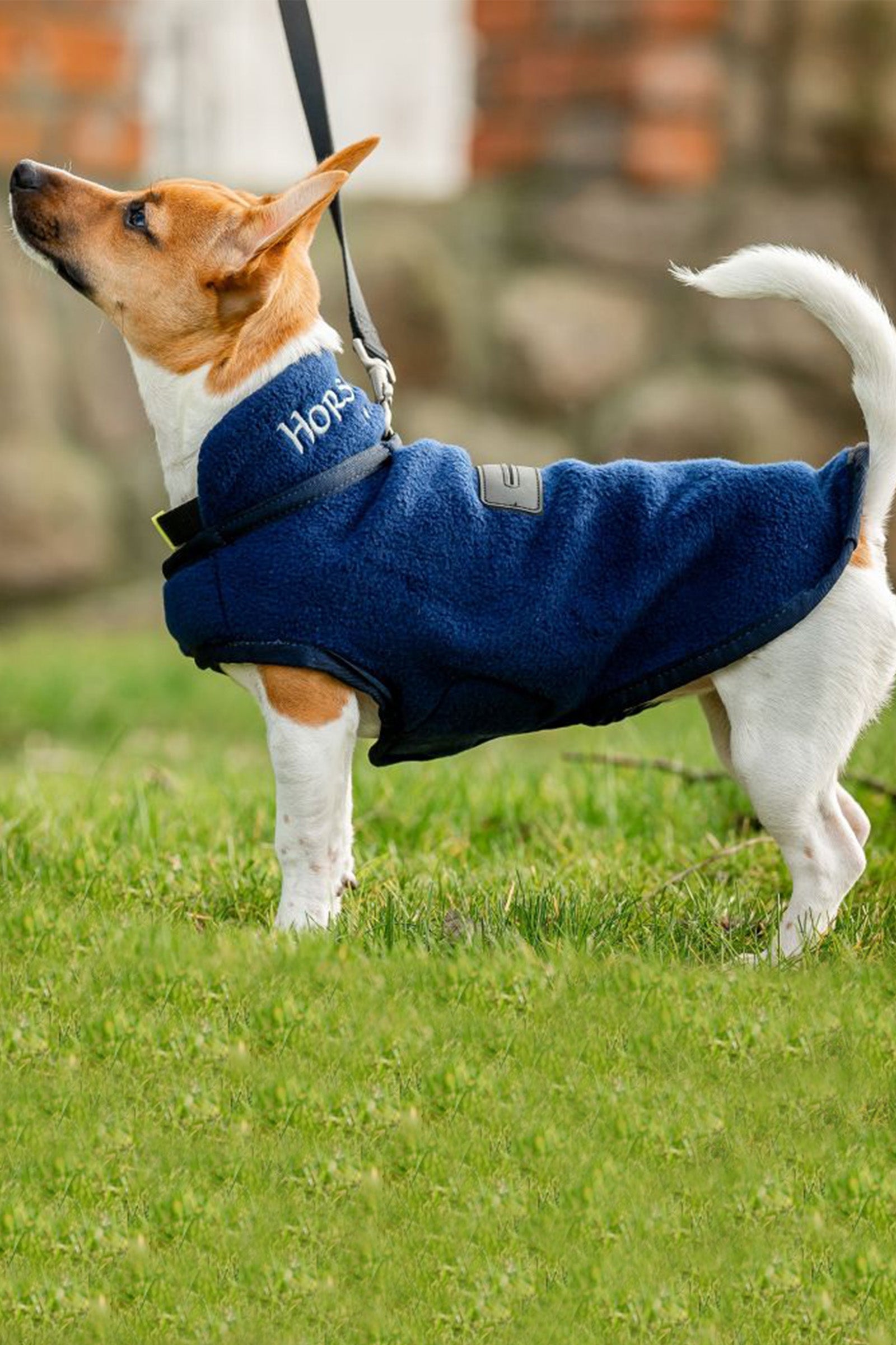 Horseware Signature Dog Fleece Dog Accesories
