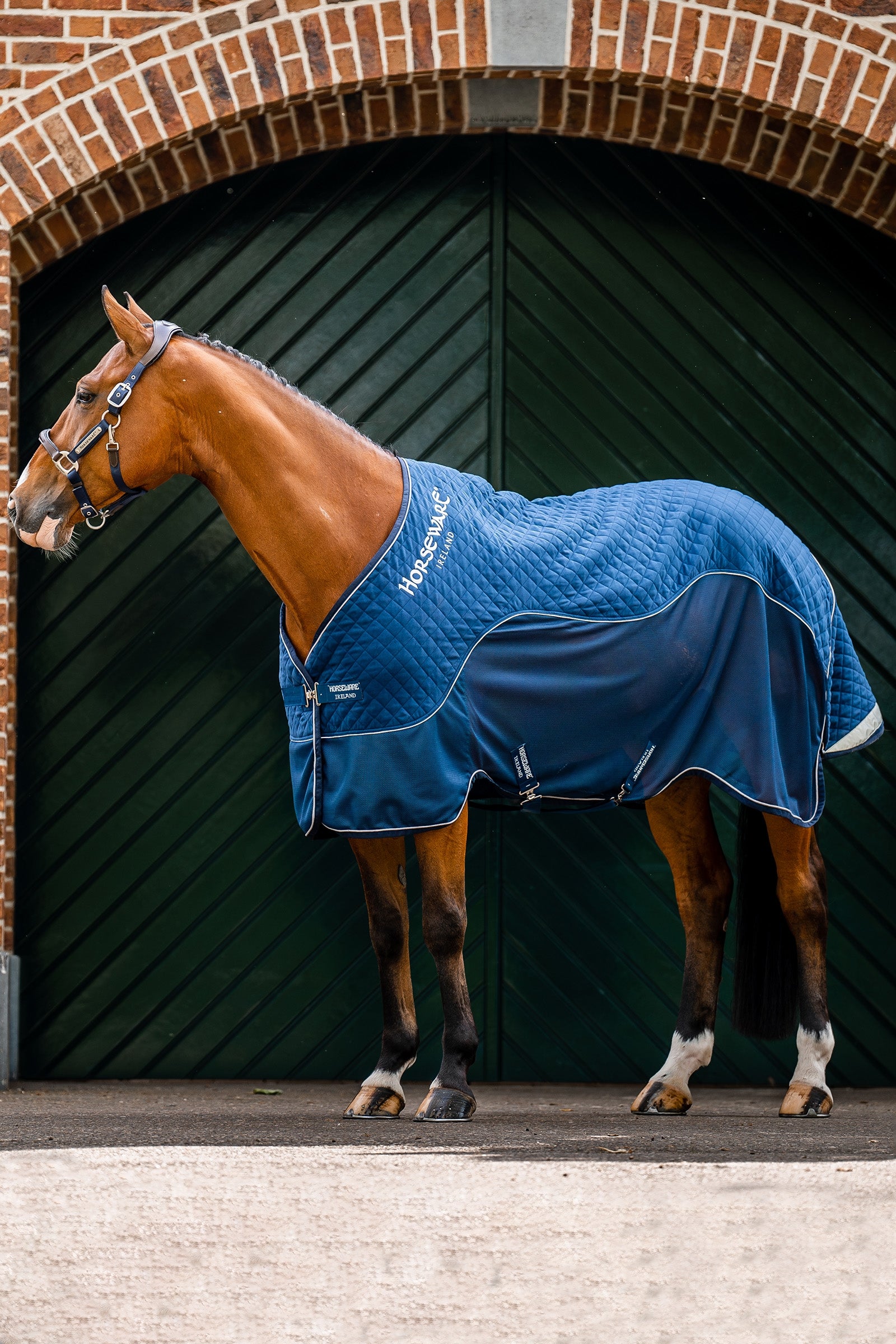 Horseware Signature Transportdecke, 50g Pferdedecken