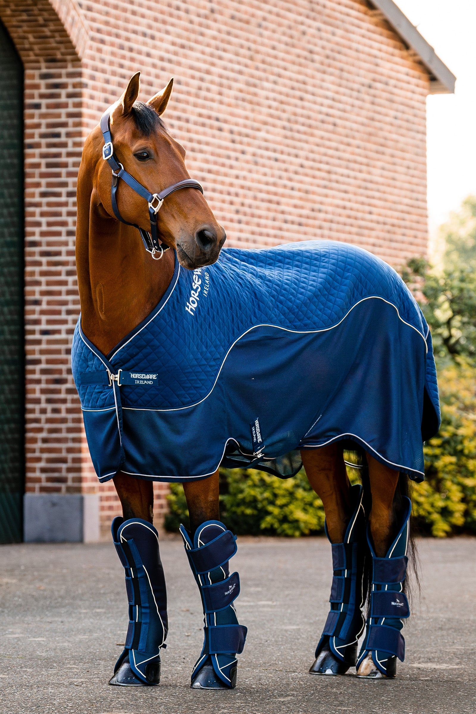 Horseware Signature Series Travel Rug, 50g Horse Rugs