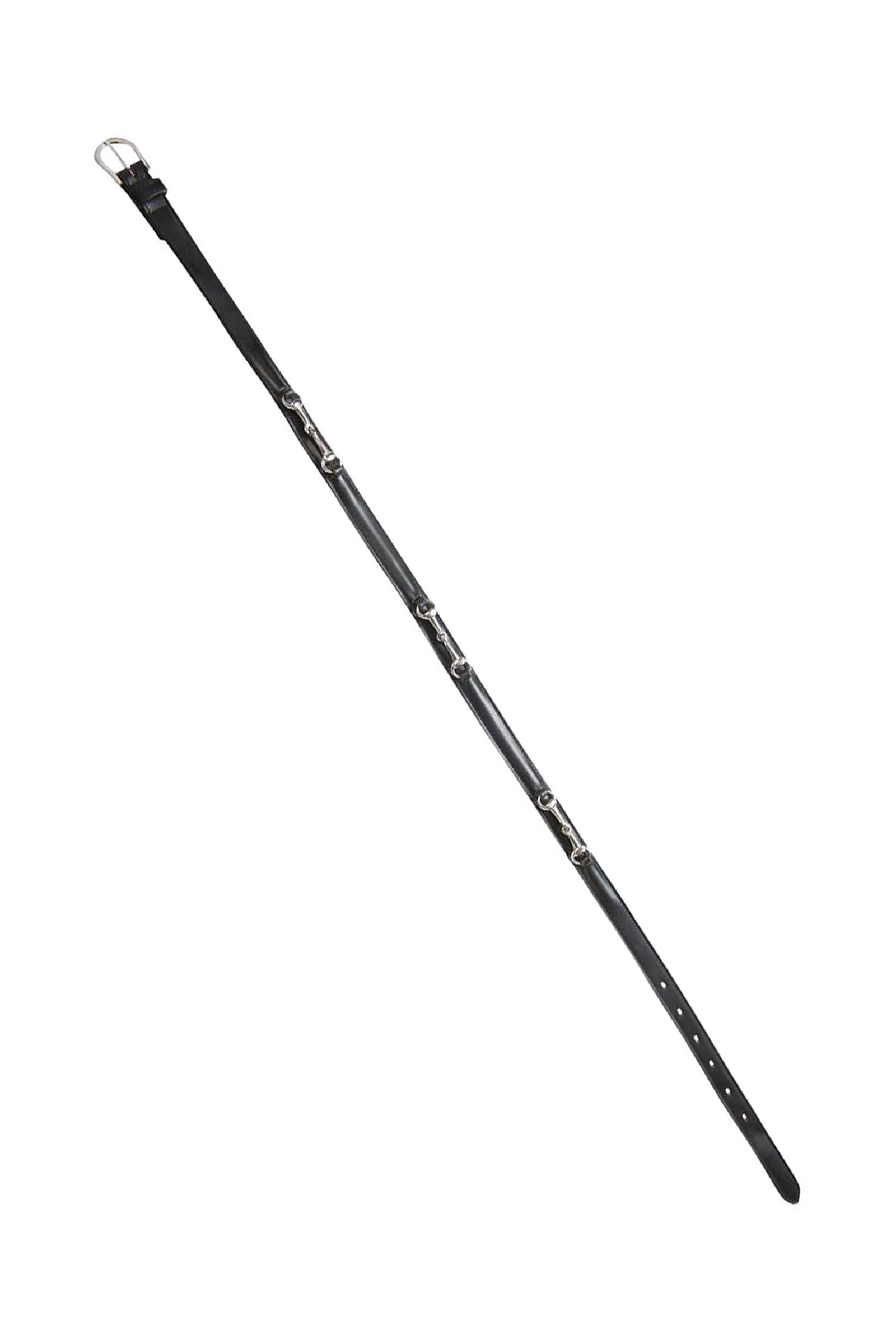 Equi Theme EQUITHÈME Wassertrensengürtel (18mm) Accessoires