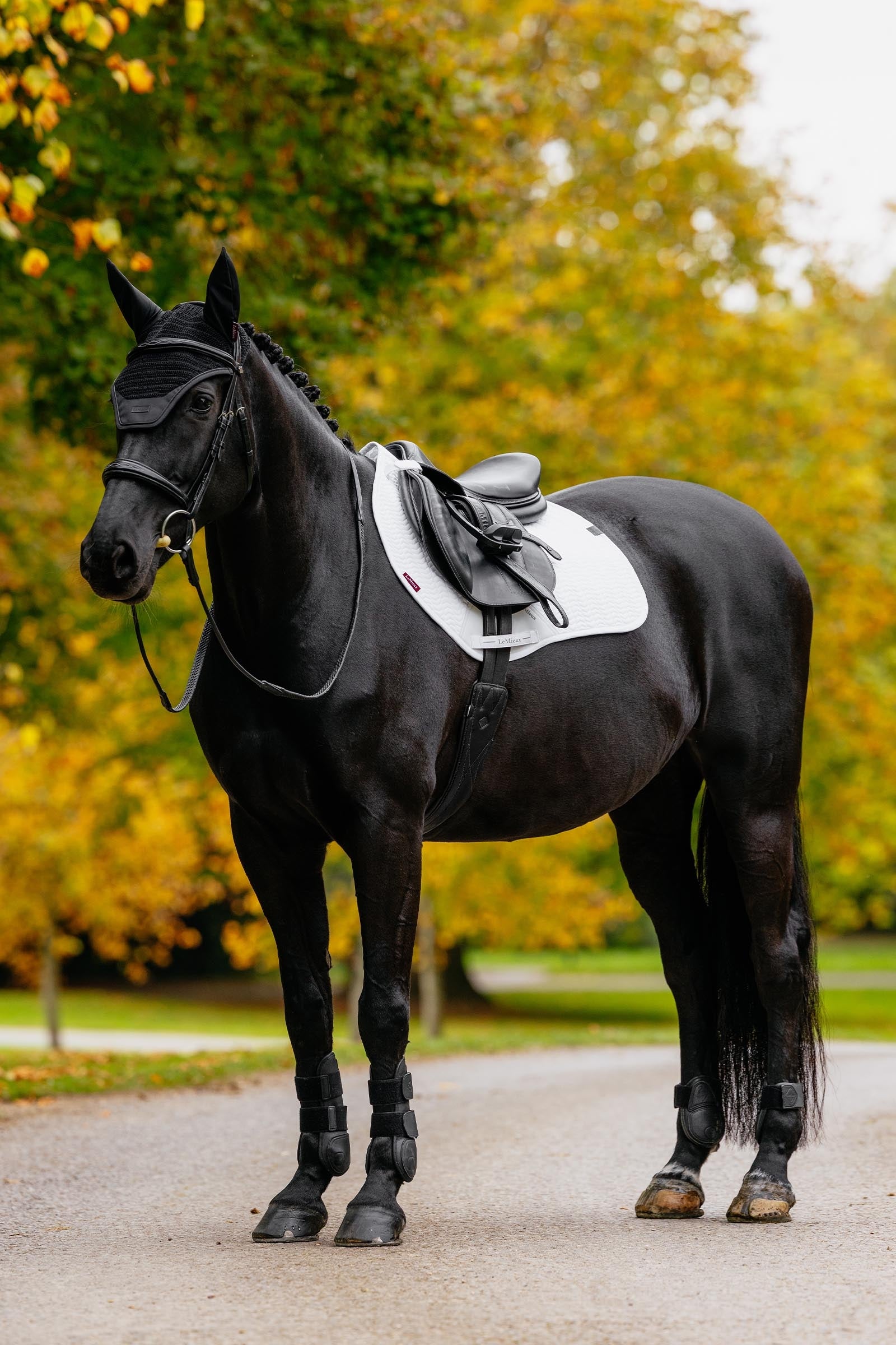 LeMieux Essence Eurojump Jumping Saddle Pad Saddle Pads