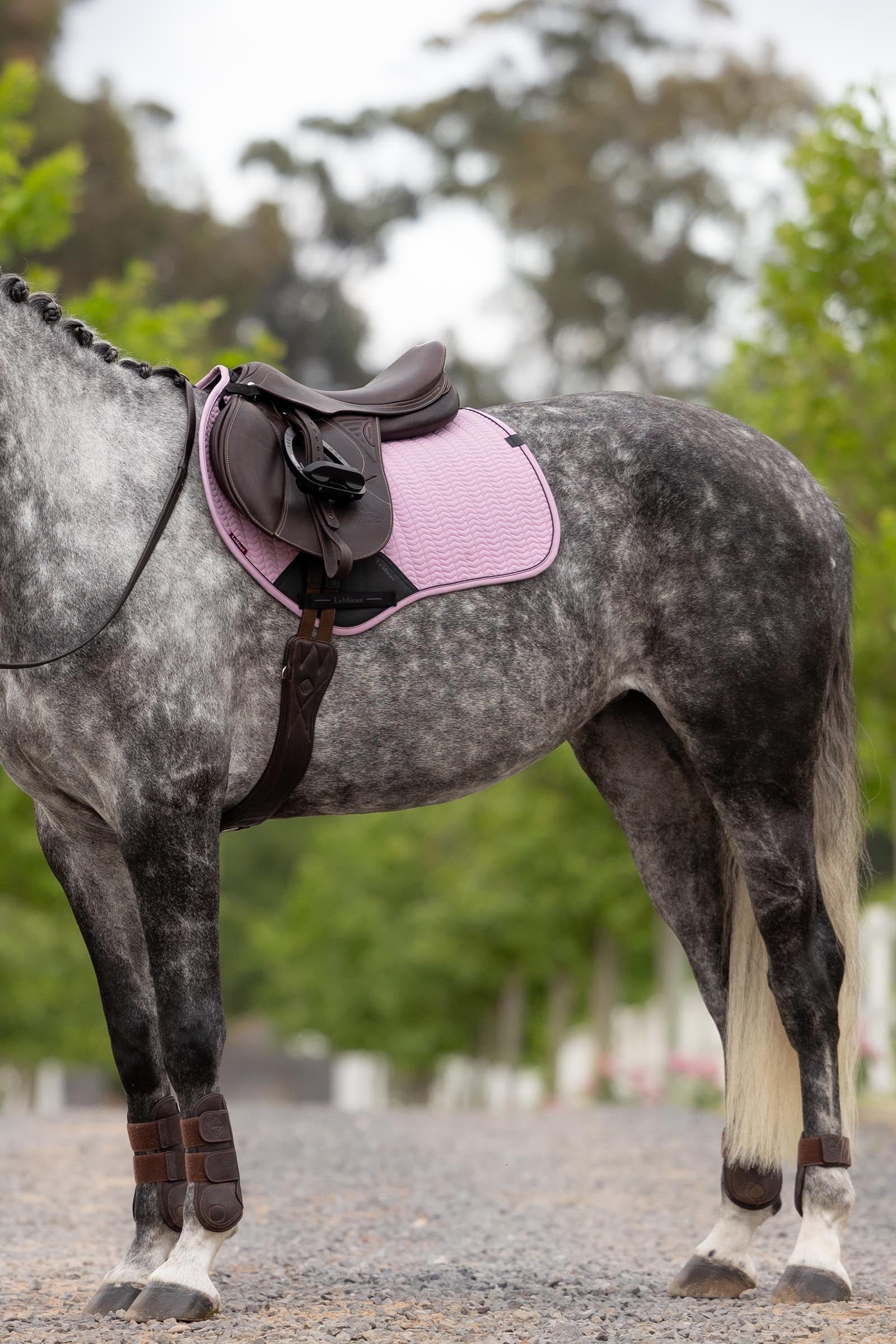 LeMieux Essence Eurojump Jumping Saddle Pad Saddle Pads