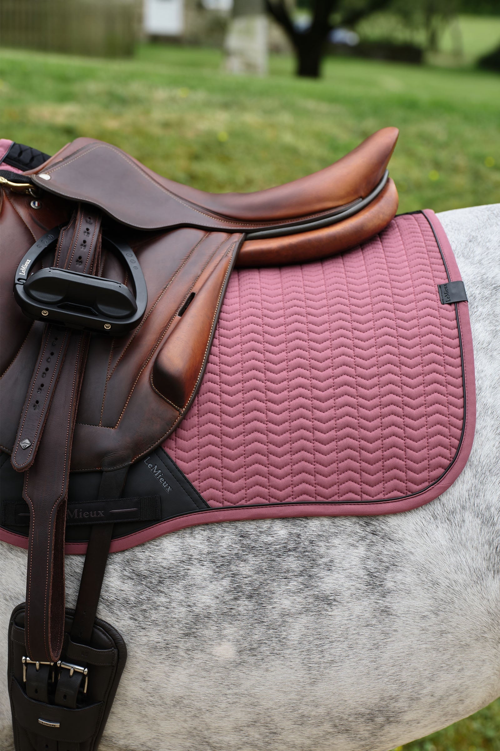 LeMieux Essence Eurojump Jumping Saddle Pad Saddle Pads