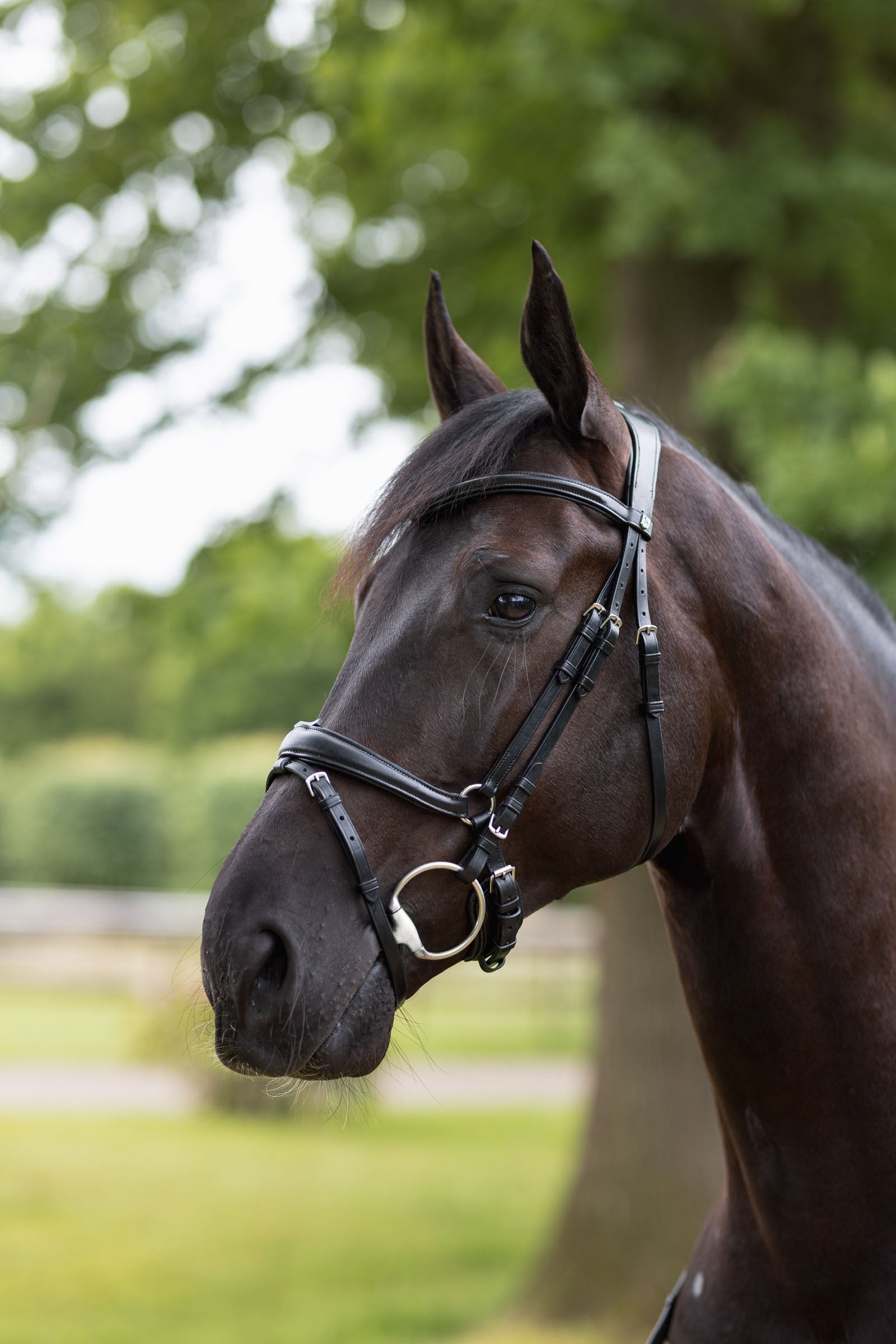 Horze Nature Made Leisure Bridle Bridles & Reins