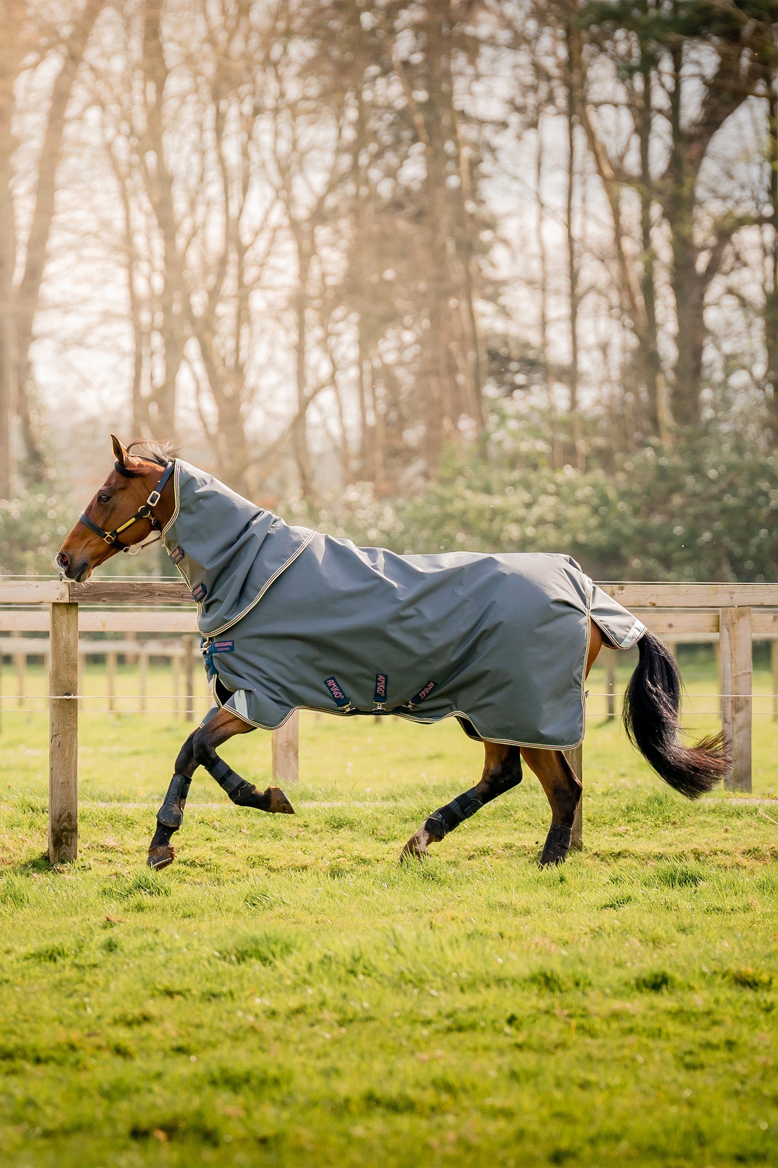 Horseware Amigo Bravo 12 Plus Weidedecke mit abnehmbarem Halsteil, 0g Pferdedecken
