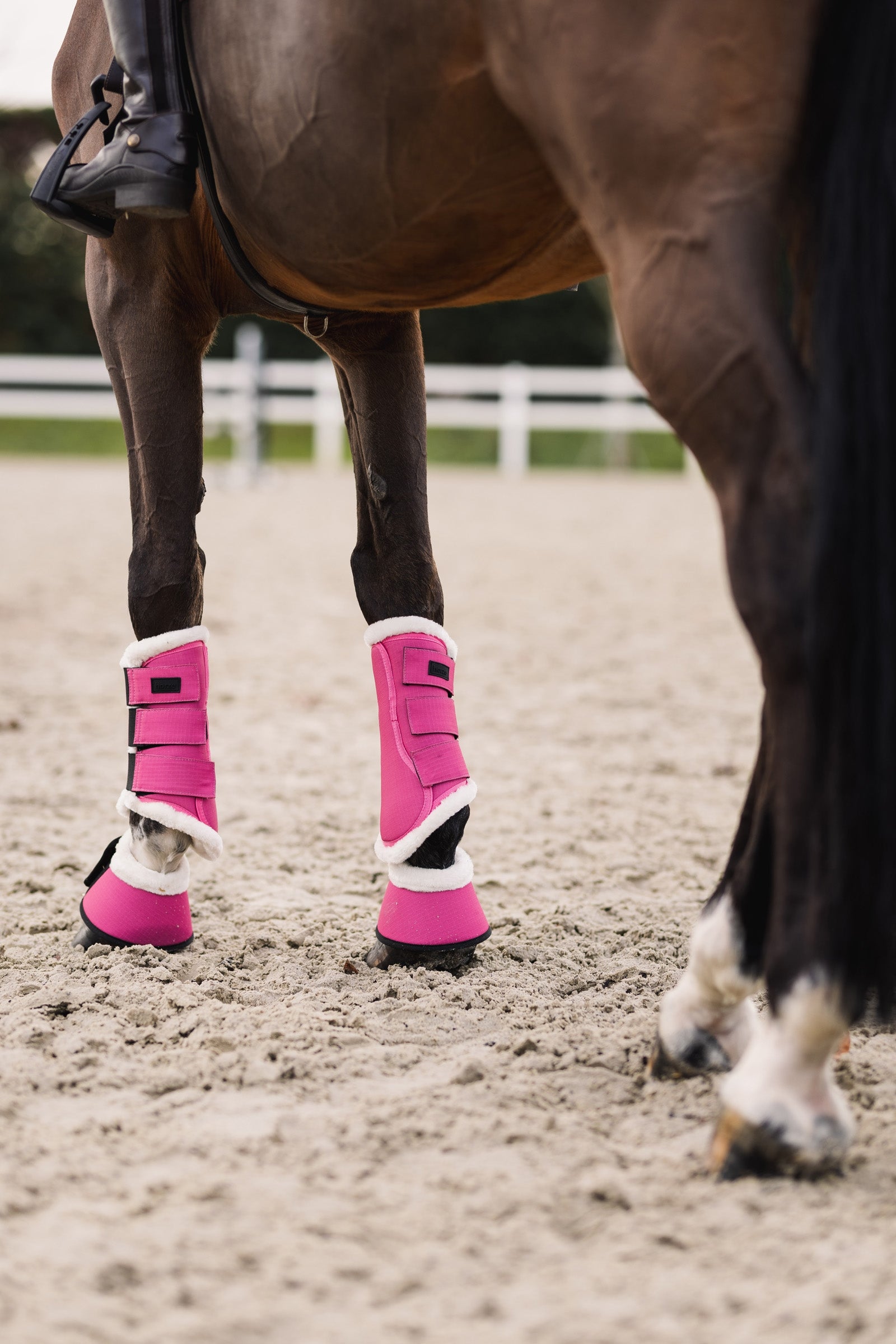 Horze Rose Tonique Brushing Boots Leg Protection & Hoof Protection for Horses