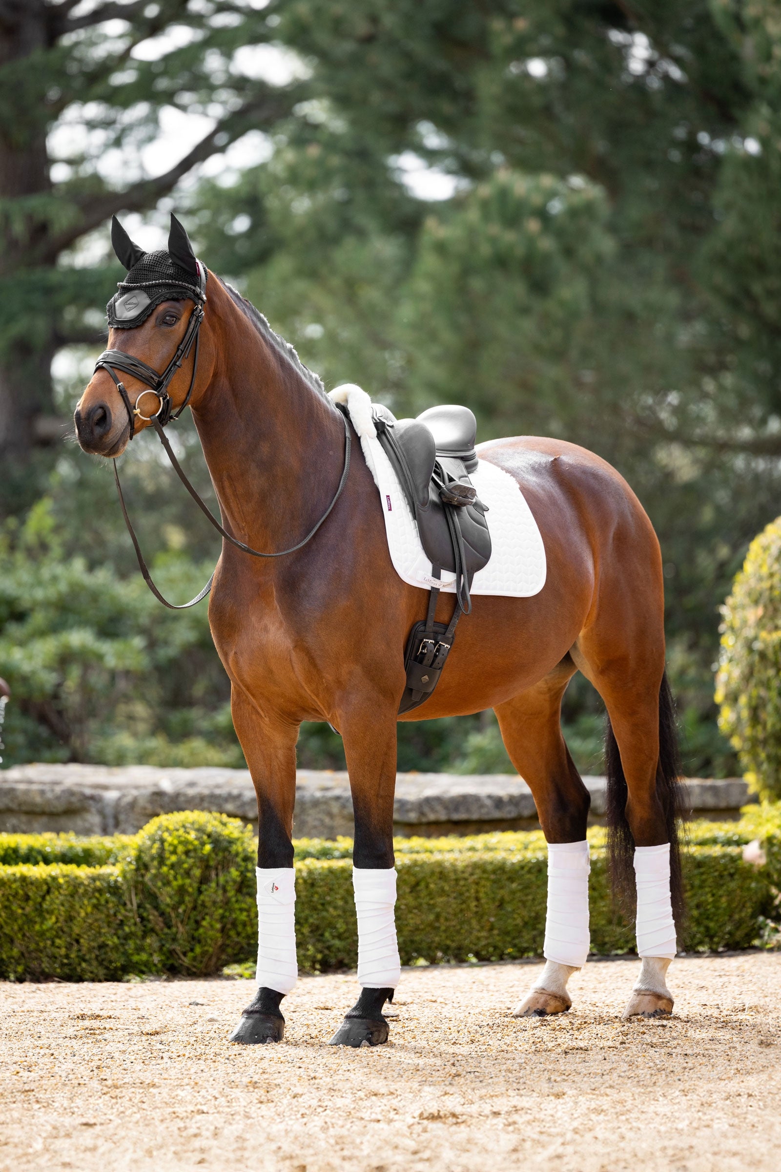 LeMieux Merino+ Dressage Saddle Pad half lined Saddle Pads