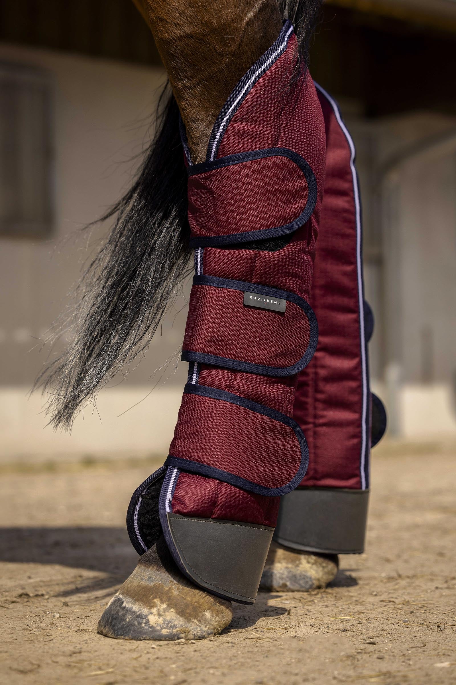 Equi Theme EQUITHÈME TYREX 1200D verstärkte Transportgamaschen Leg & Hoof Protection