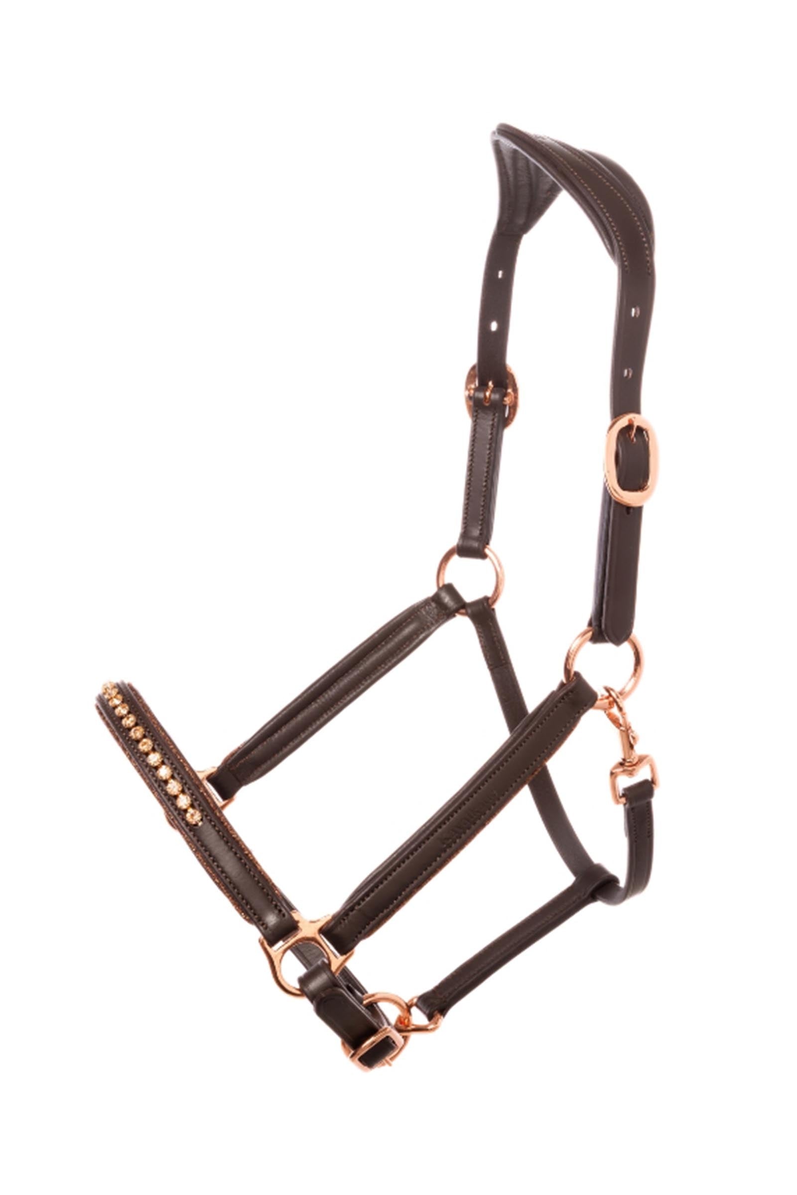 Kavalkade Freydis Icelandic Halter Halters & Leads