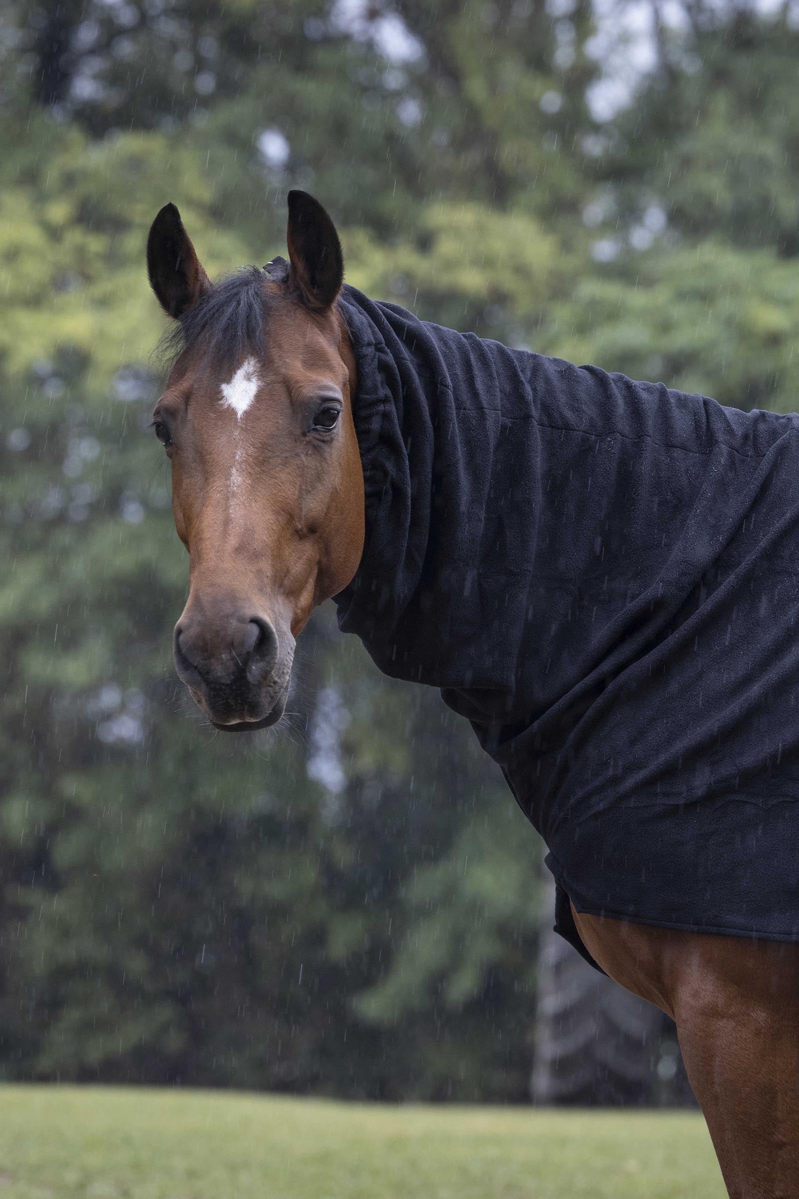Equi Theme EQUITHÈME Polar Fleece Neck Cover Horse Rugs