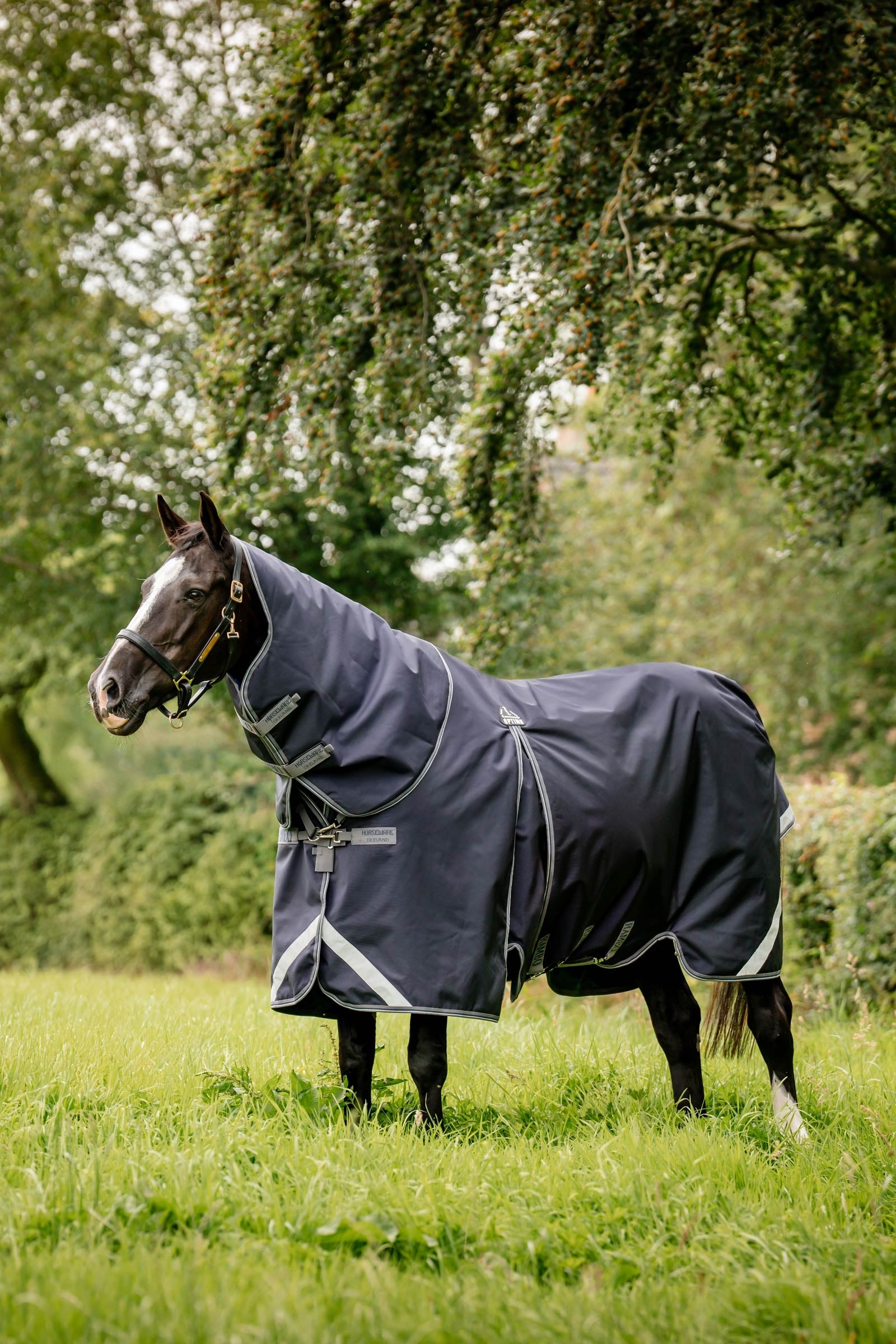 Horseware Rambo Optimo Plus Budle Weidedecke (mit 200g Liner) Pferdedecken