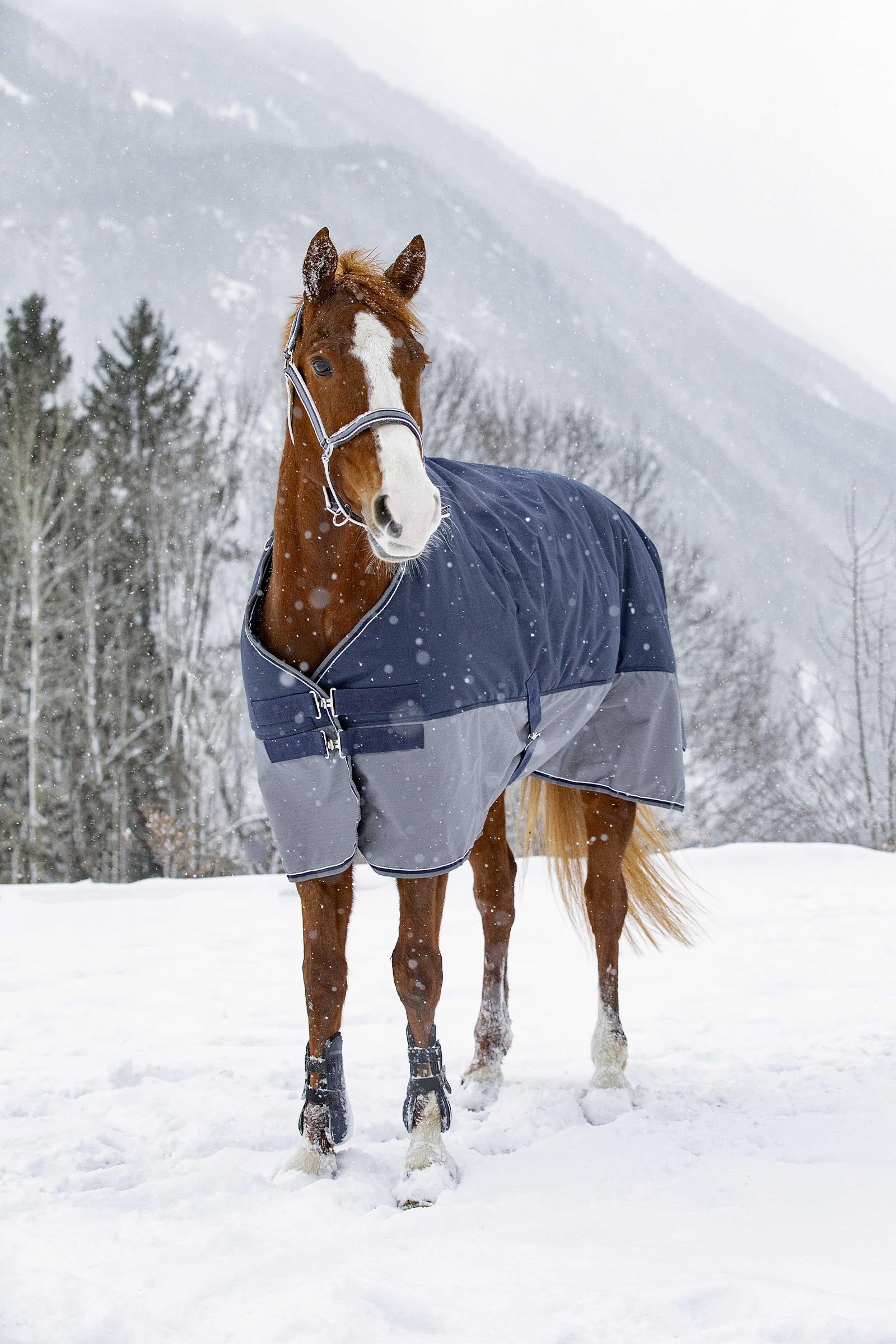 Equi Theme EQUITHÈME TYREX 600D Turnout Rug Horse Rugs