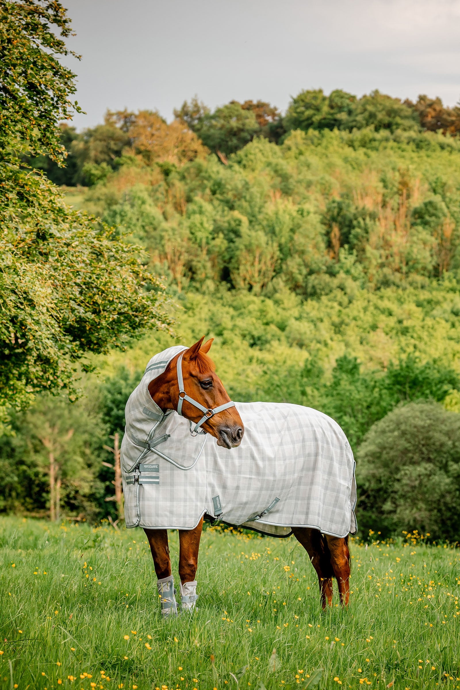 Horseware Newmarket Plus Fly Sheet Horse Rugs