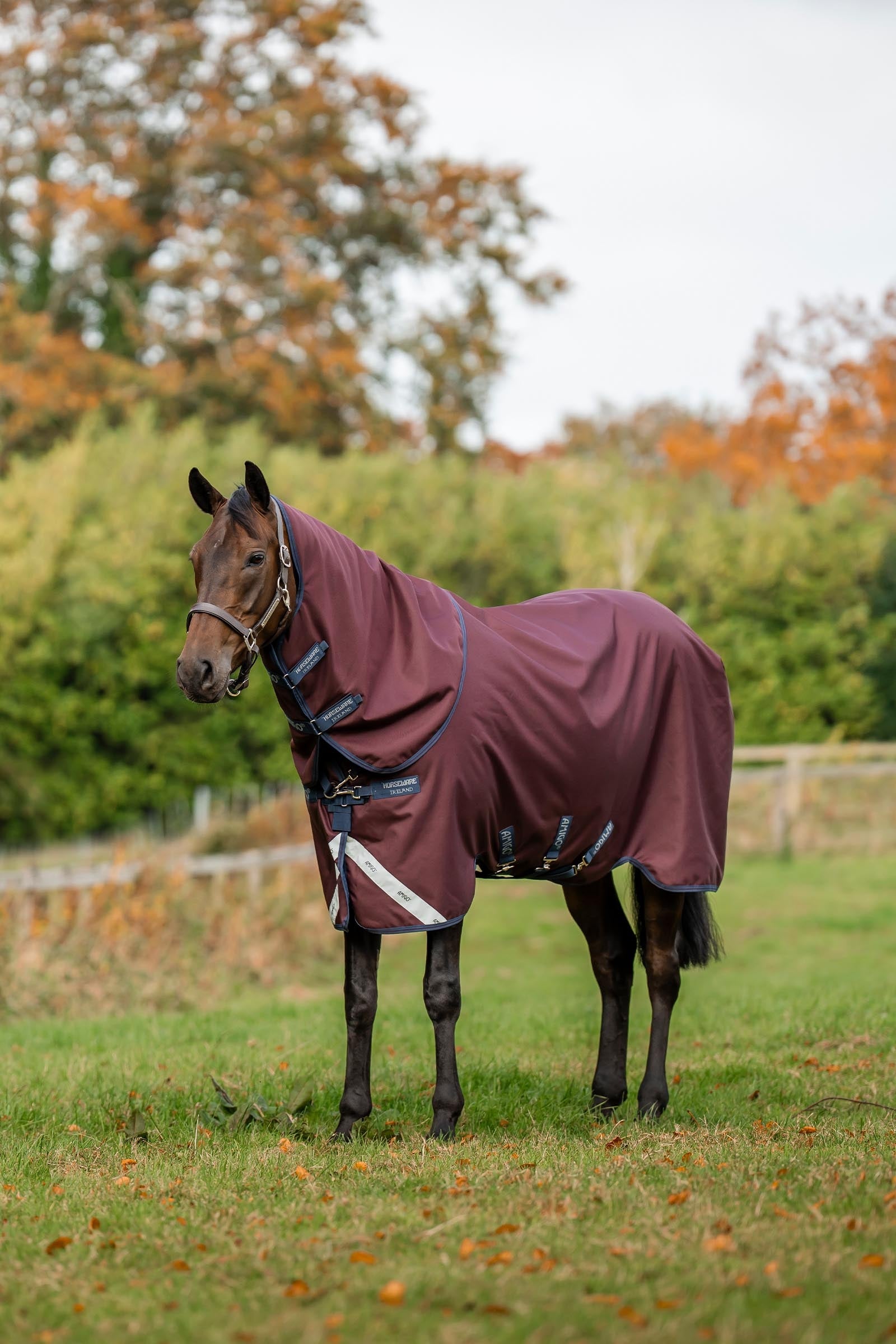 Horseware Amigo 1200D Plus Turnout Rug, 50 g Horse Rugs