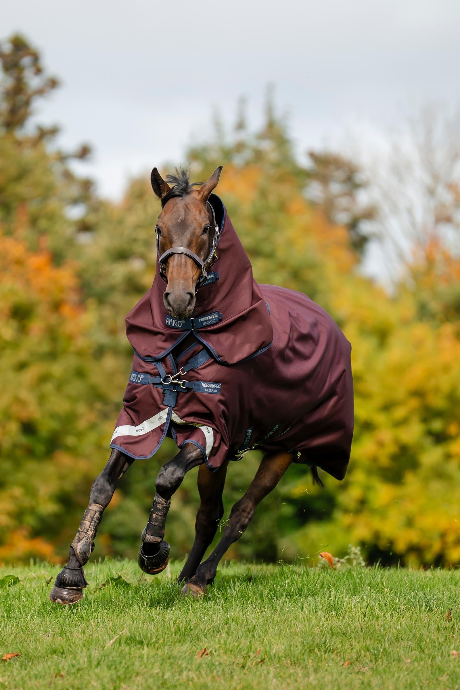 Horseware Amigo 1200D Plus Turnout Rug, 50 g Horse Rugs