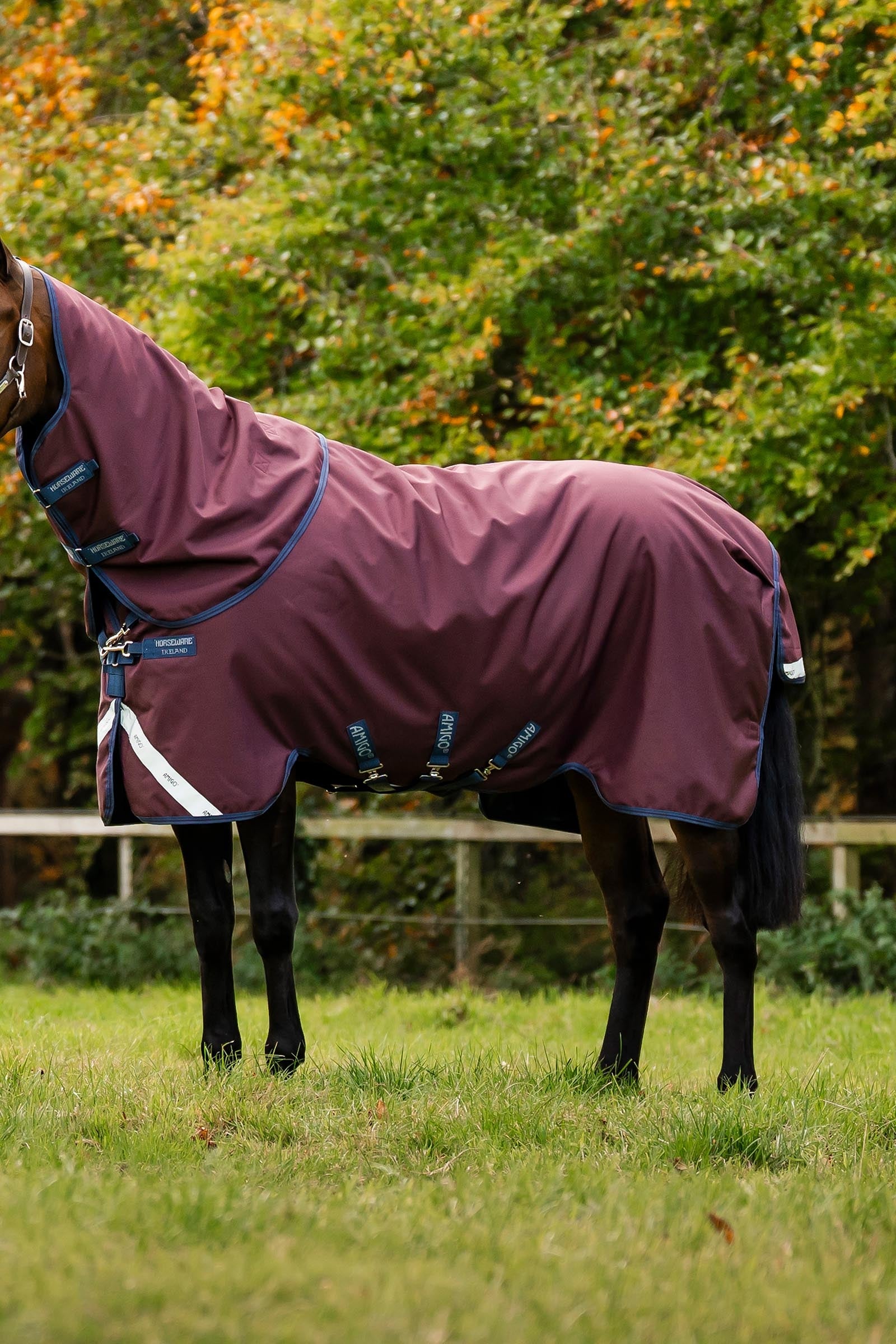 Horseware Amigo 1200D Plus Turnout Rug, 50 g Horse Rugs