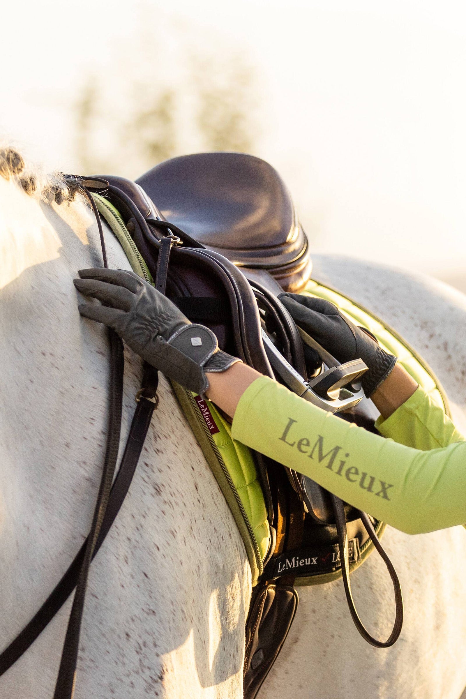 LeMieux ProTouch Classic Gloves Riding Gloves