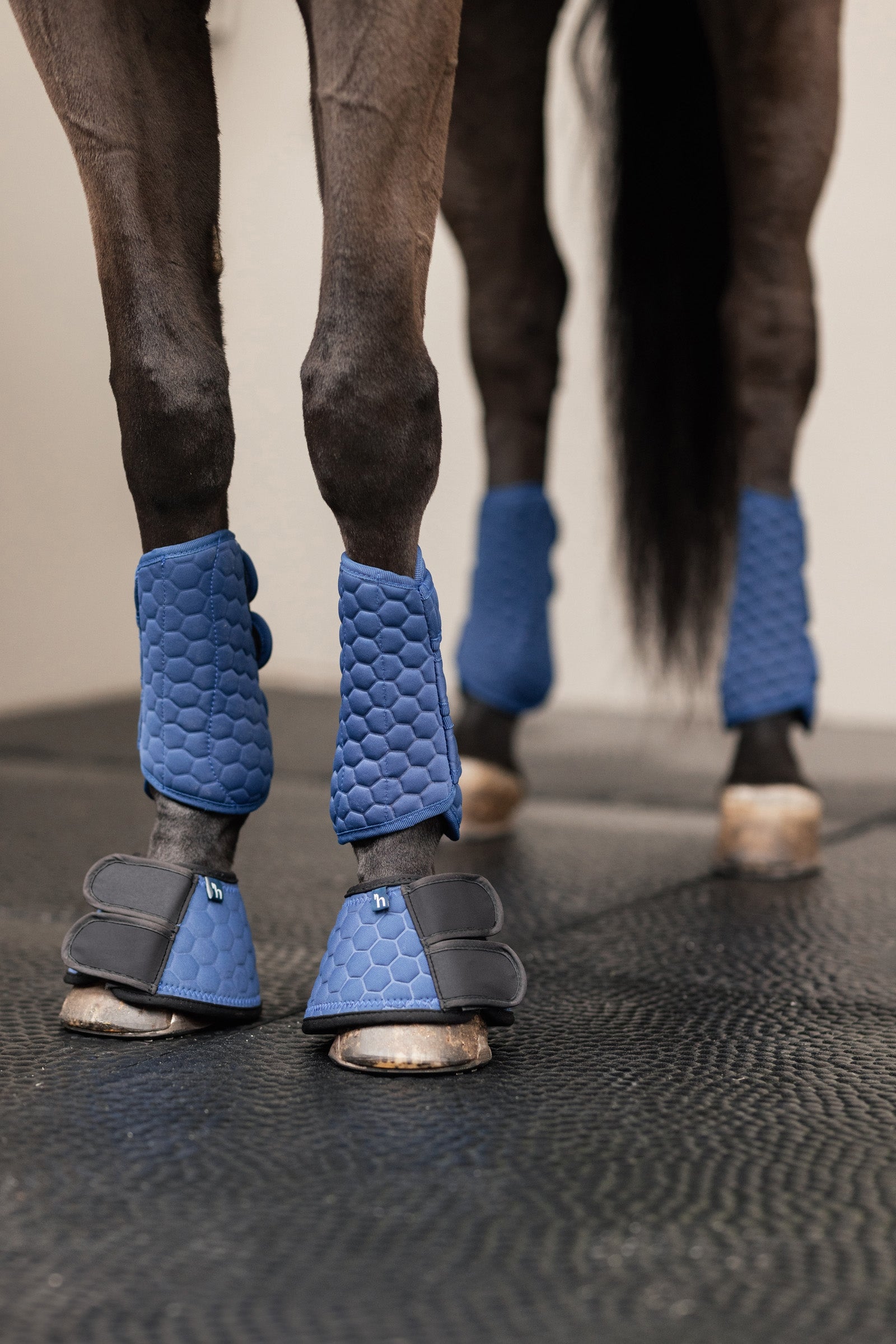 Horze Urban Vitality Brushing boots Leg Protection & Hoof Protection for Horses