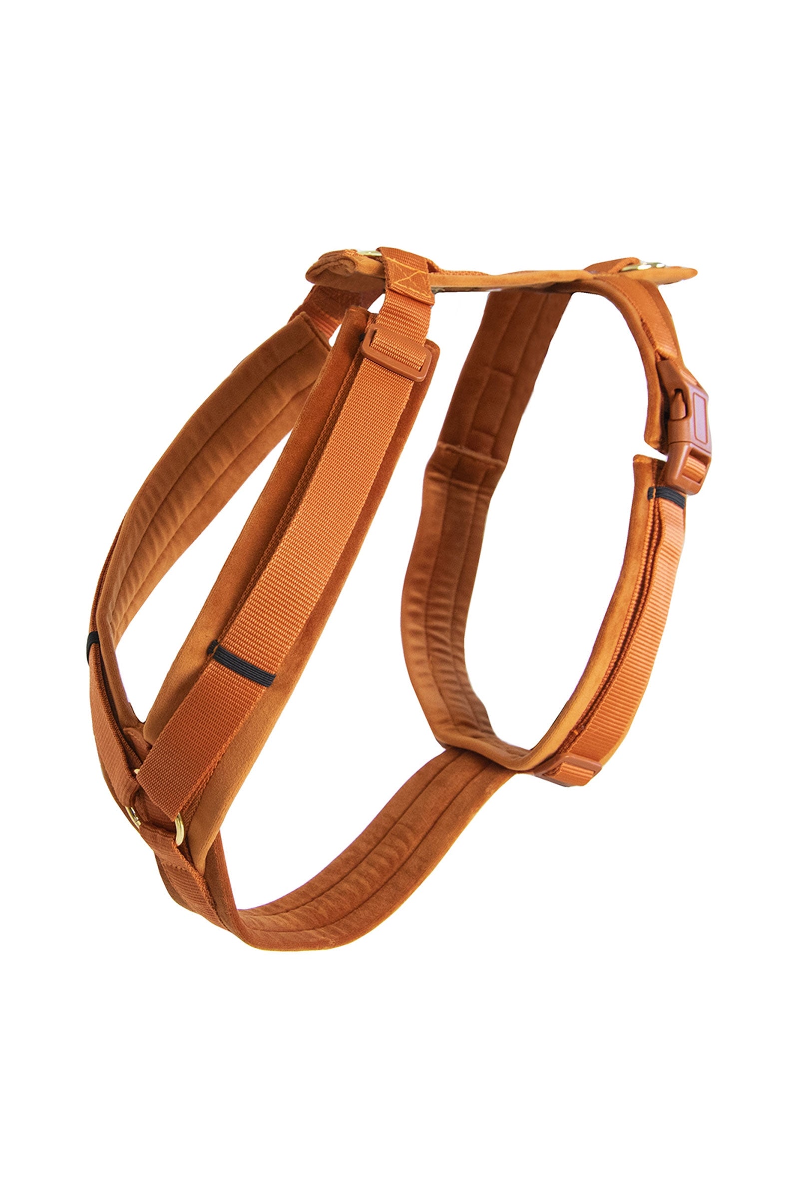 Kentucky Dogwear Active Velvet Hundegeschirr Hund