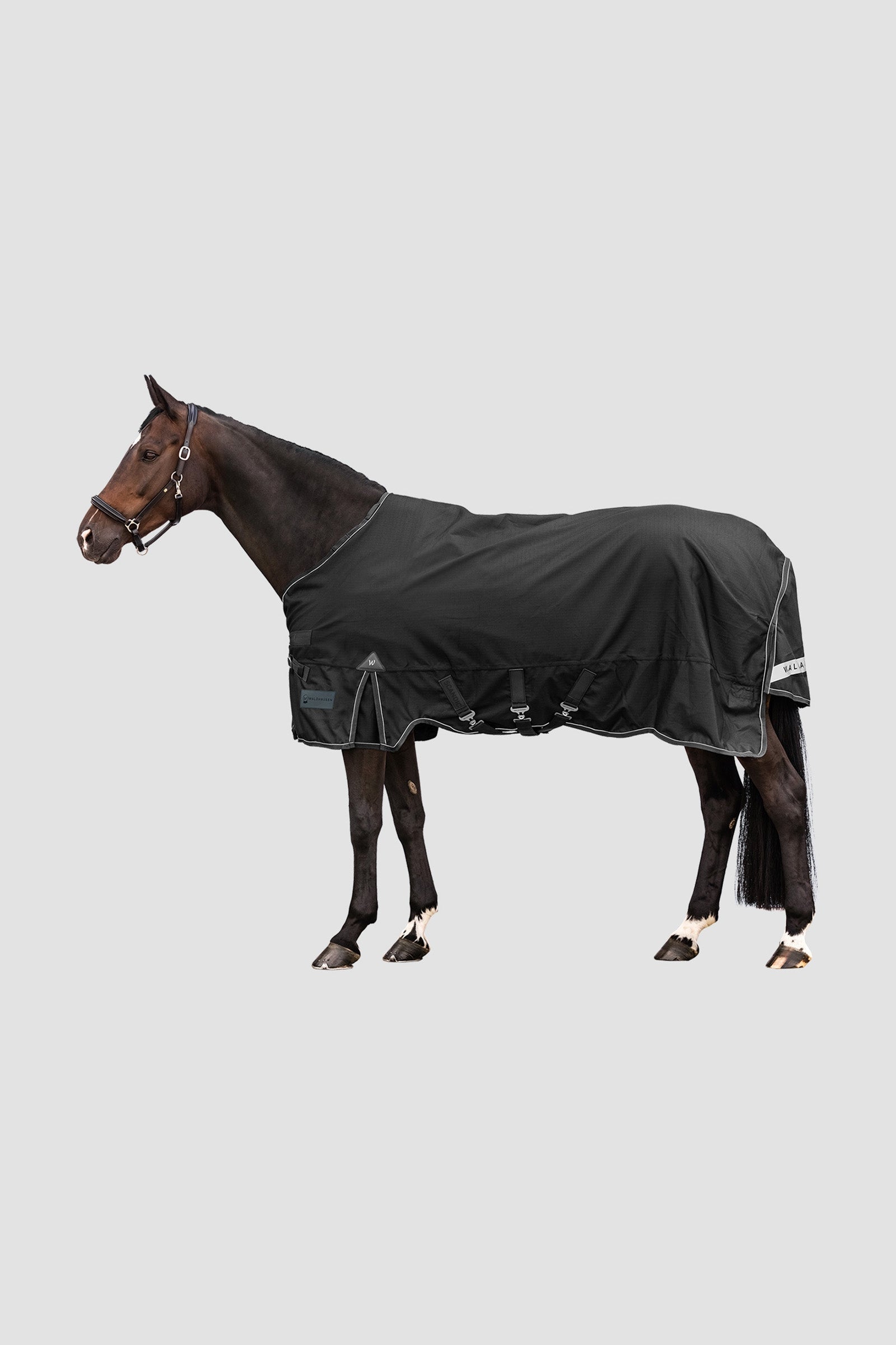 Waldhausen Outdoor Rug Scandic 50g Pferdedecken