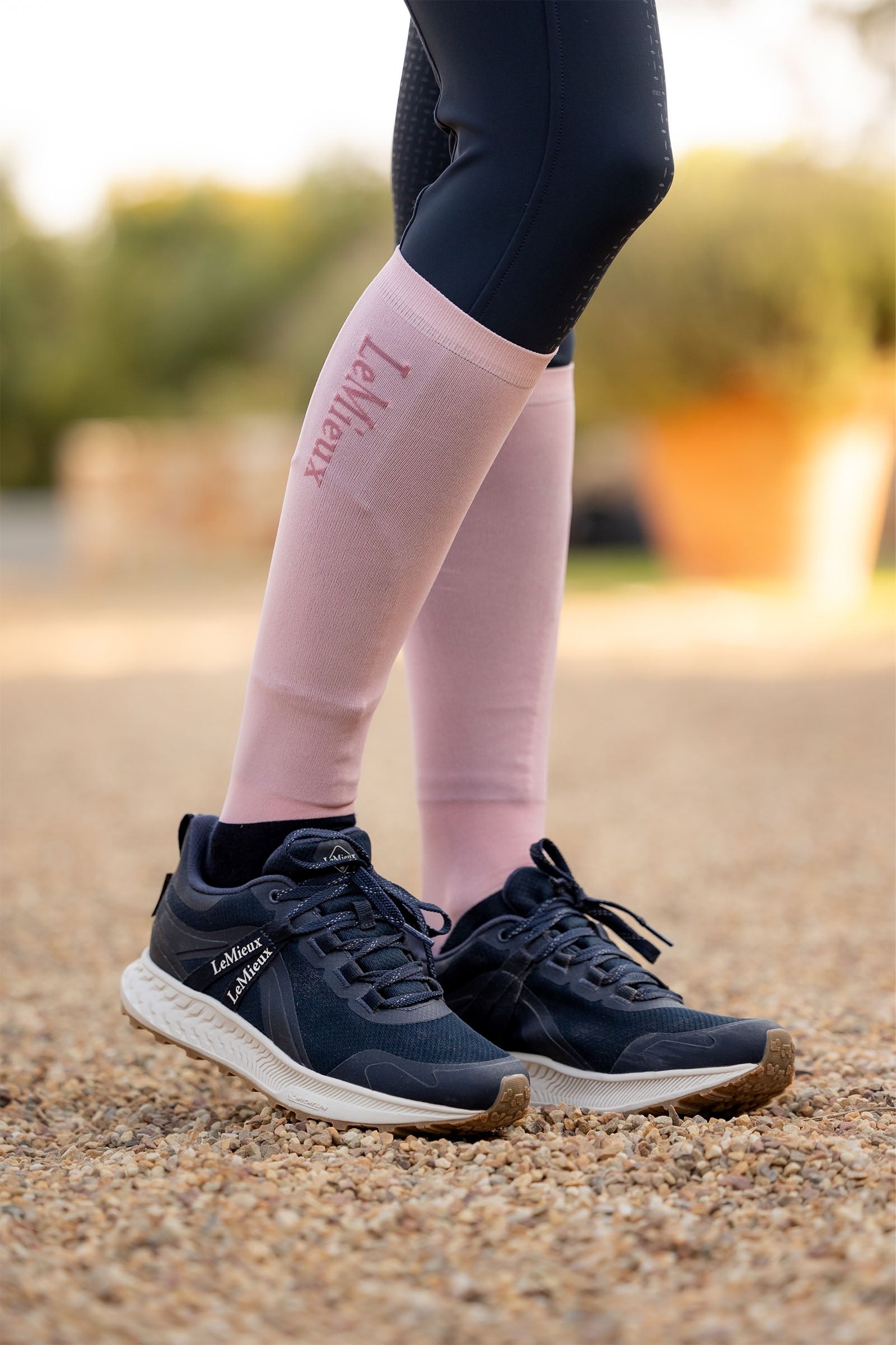 LeMieux Competition Socks (2 pairs) Socks