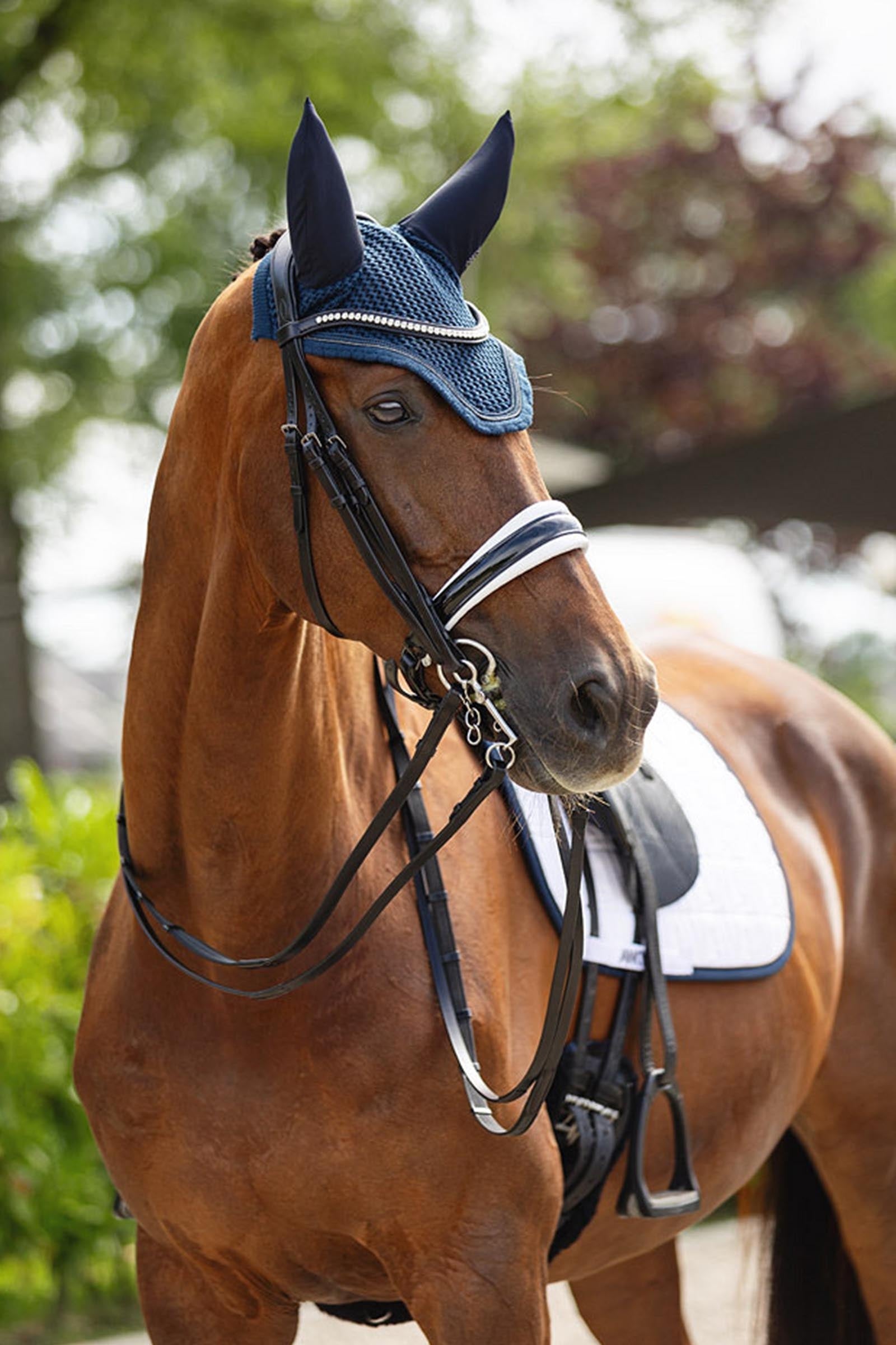 Anky ANKY Double Bridle, Extra Wide Headpiece Bridles & Reins