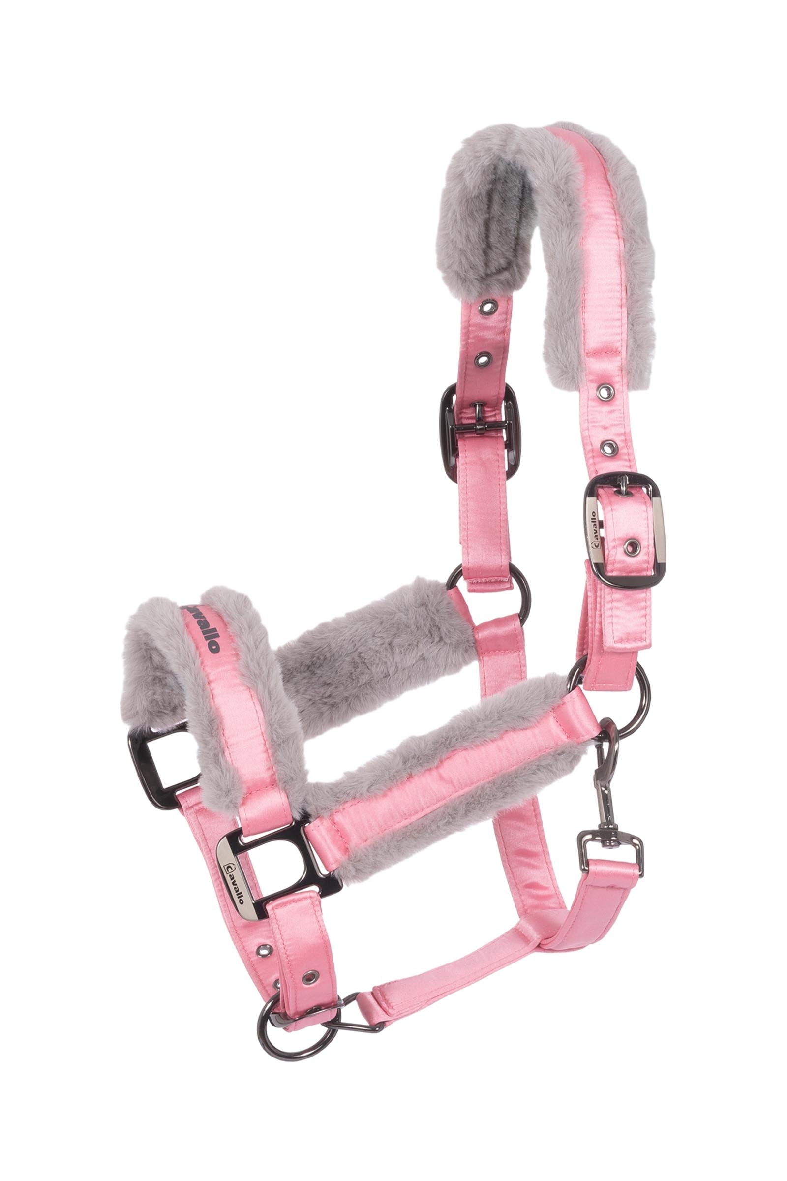 Cavallo CAVALJERO Halfter Halfter & Stricke