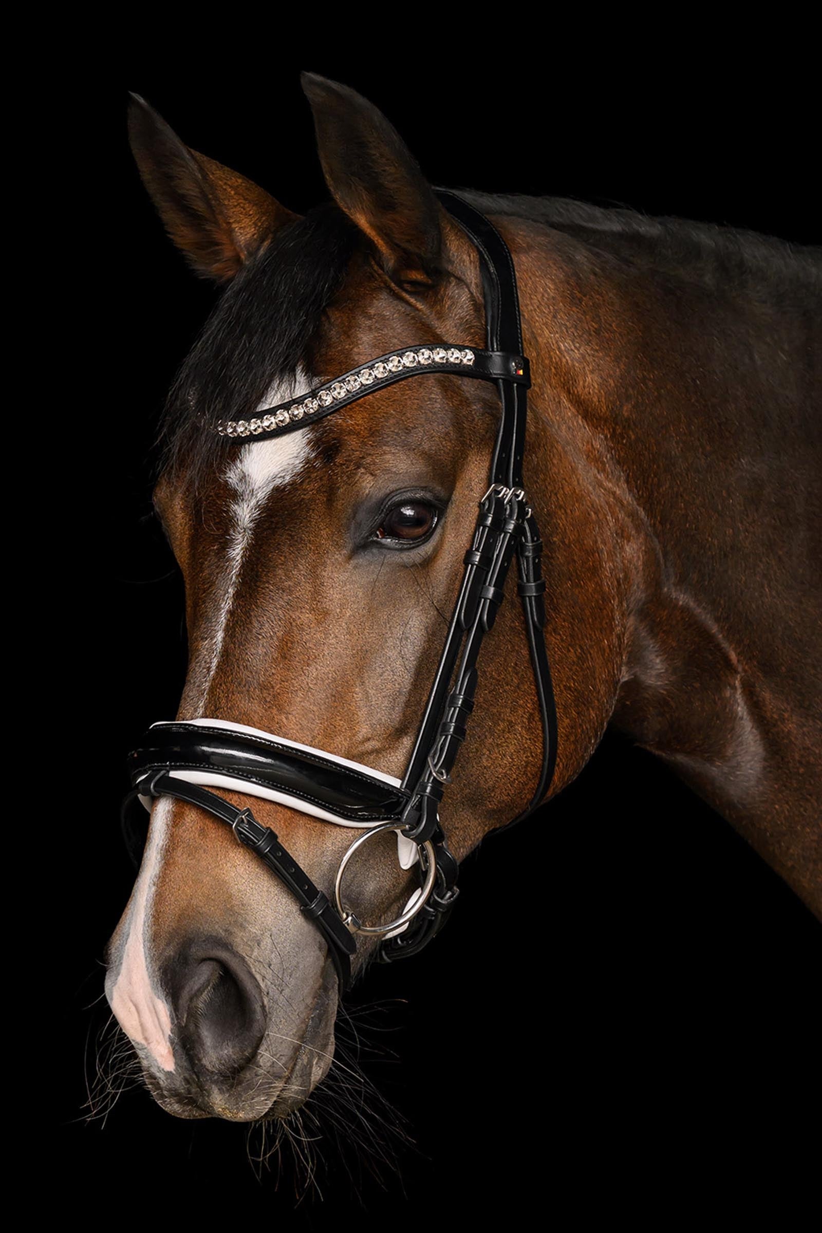 Waldhausen X-Line Evermore Bridle, Pullback Noseband Bridles & Reins