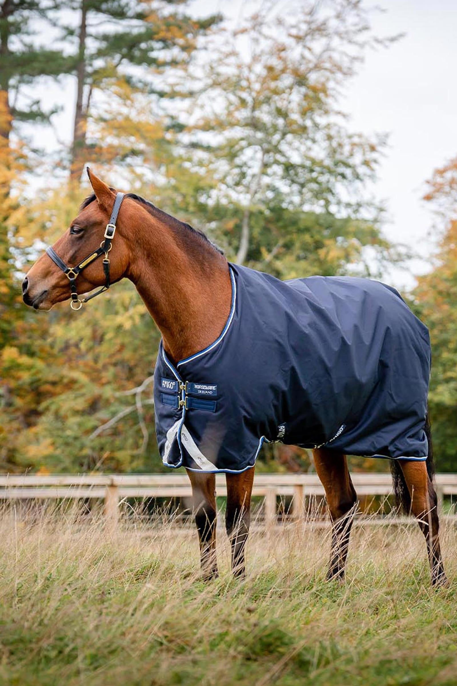 Horseware Amigo Bravo 12 Weidedecke, 250g Pferdedecken