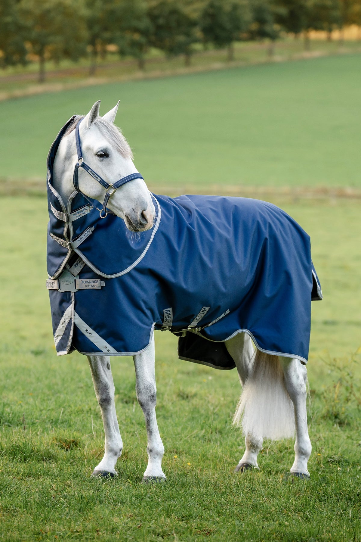 Horseware Amigo 1200D FieldSafe Plus Weidedecke mit abnehmbarem Halsteil, 50 g Pferdedecken