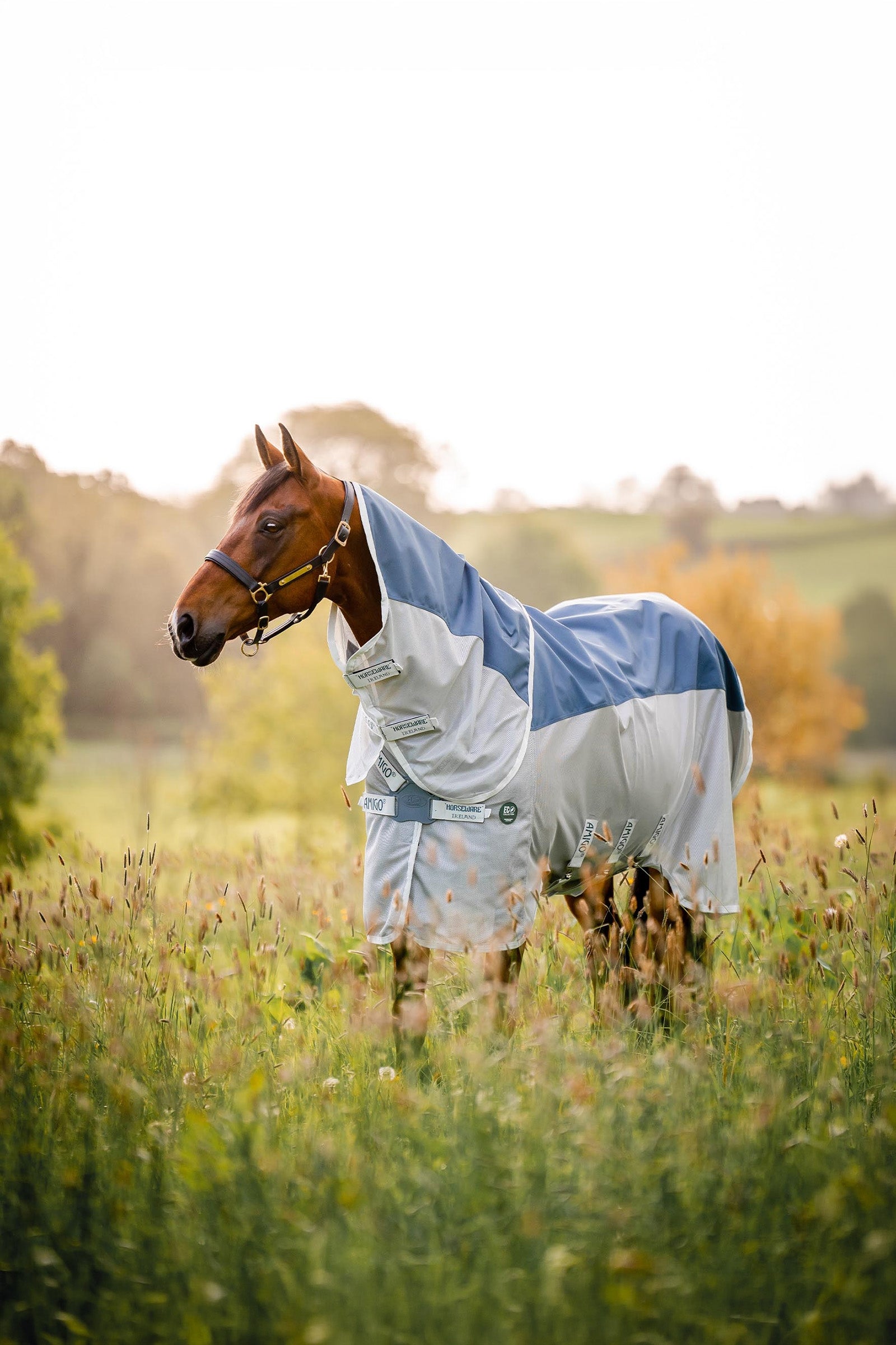 Horseware Amigo AmEco Combi Fly Rug Horse Rugs