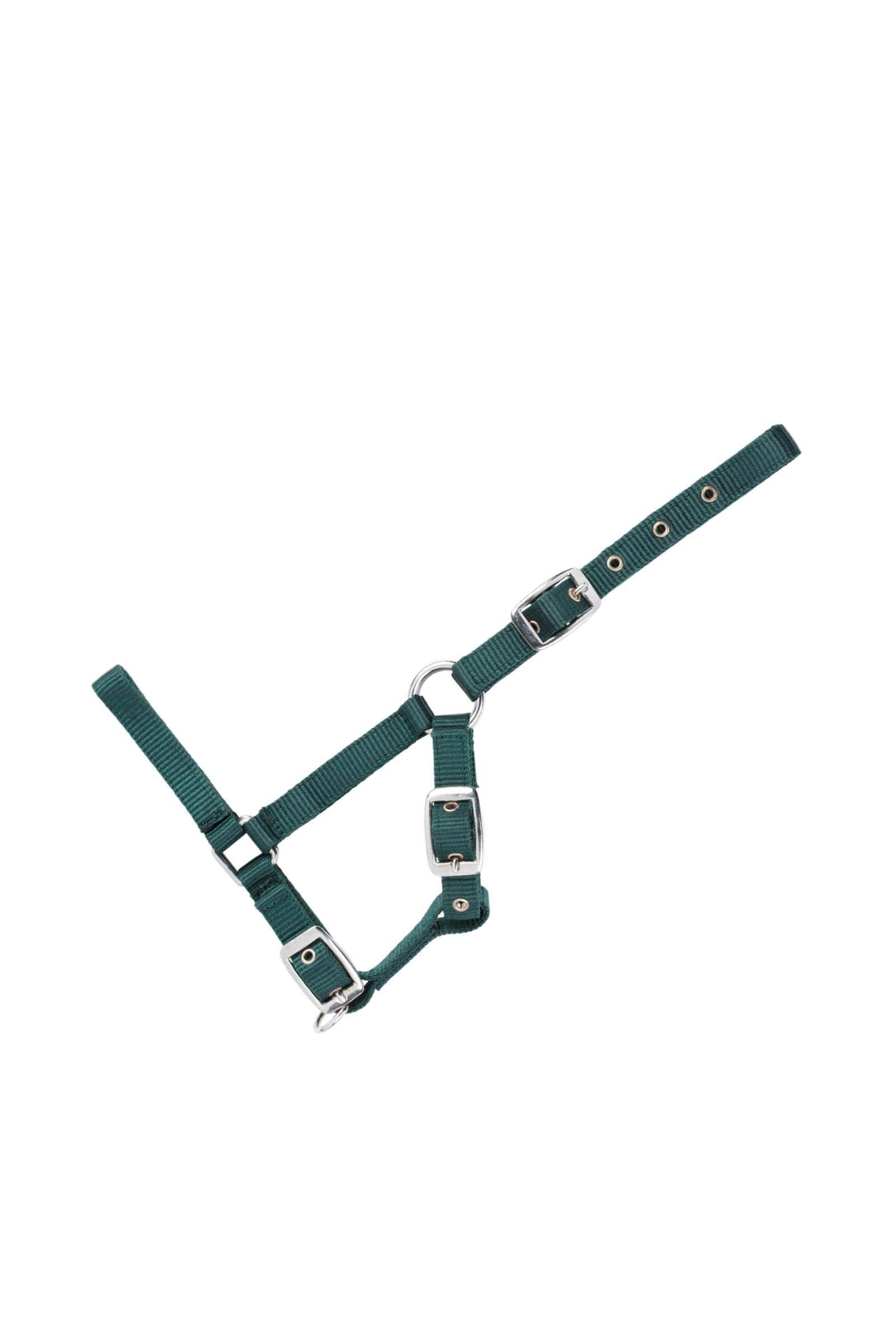 USG Adjustable Foal Halter Halfter & Stricke