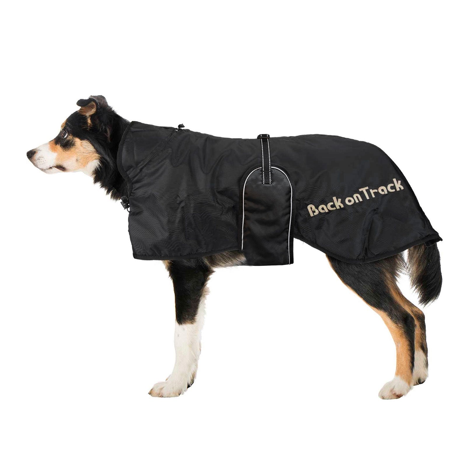 Back on Track Hundemantel (63-91) Hund