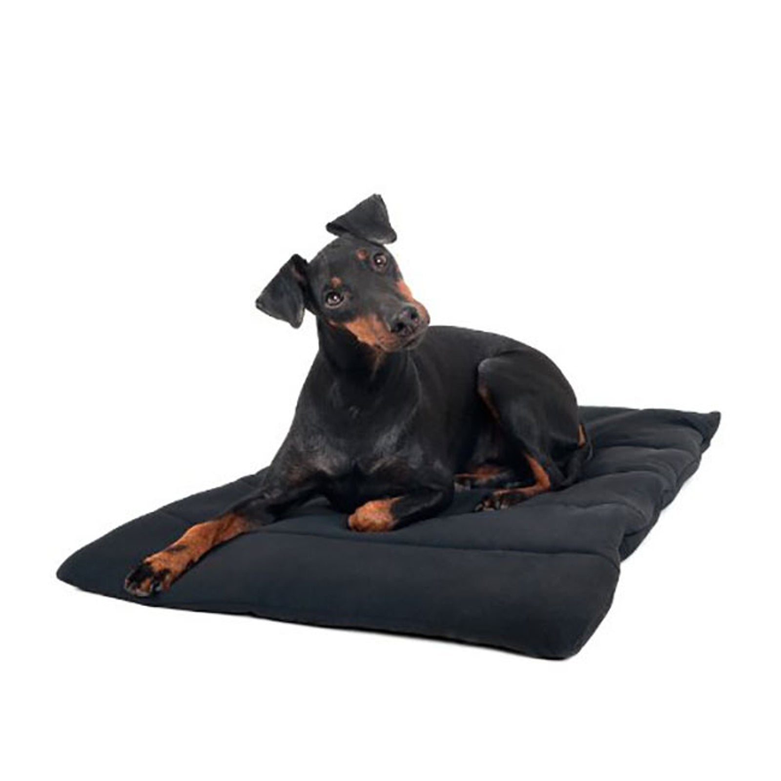 Back on Track Hundedecke Hund