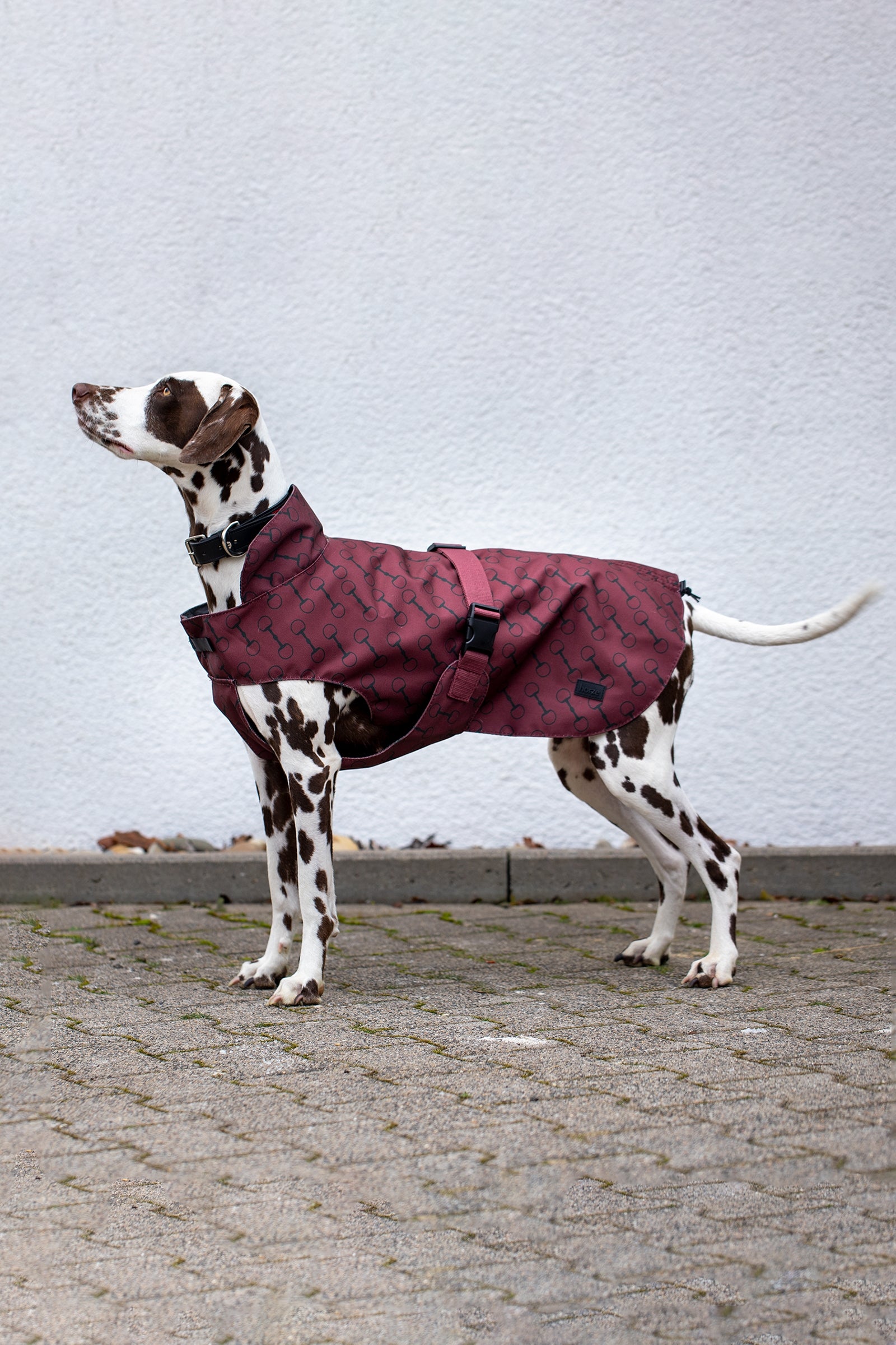 Horze Noir Hundemantel mit Print Hund
