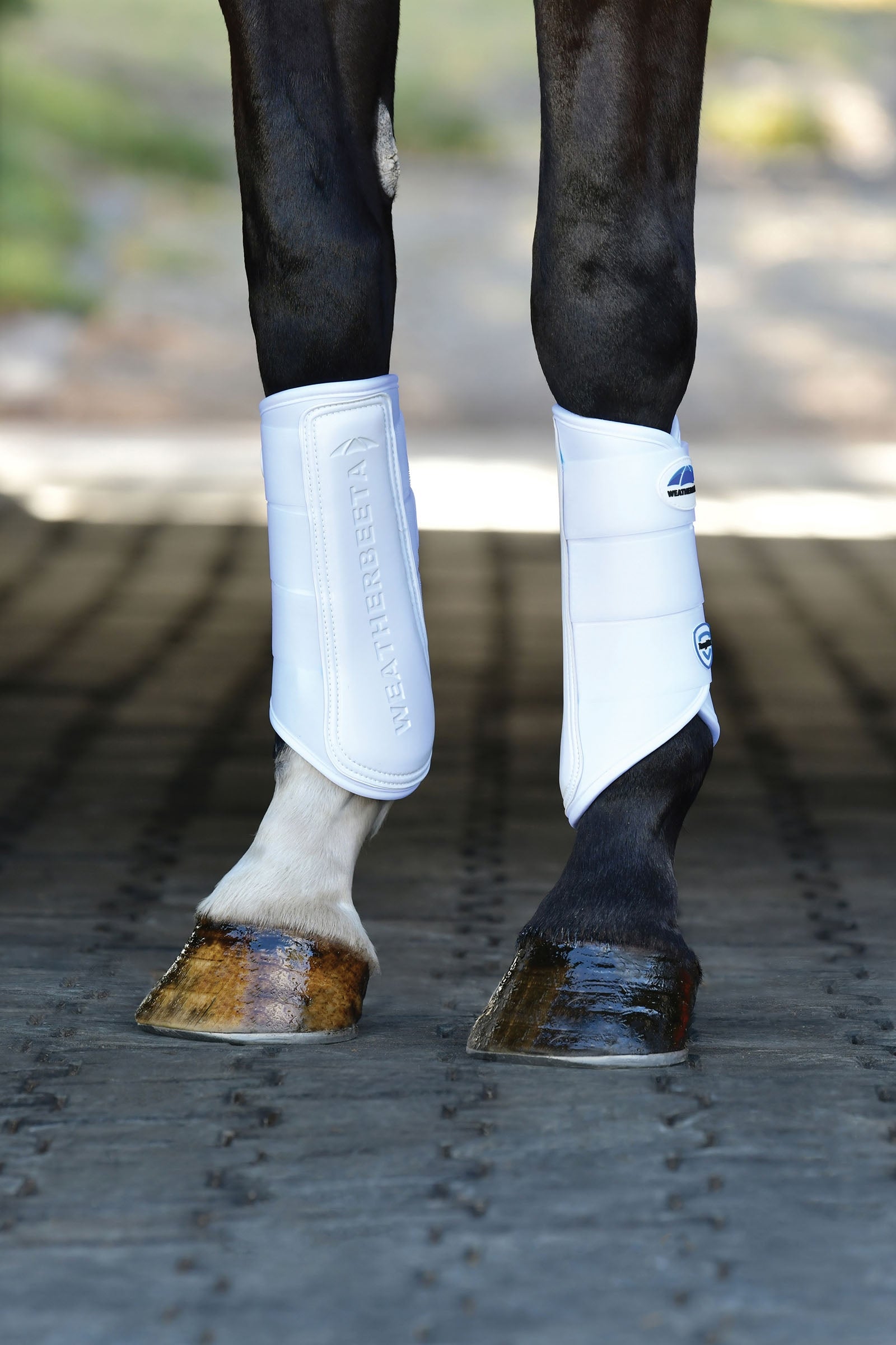 Weatherbeeta Tough-Tec Prime Brushing Boots Leg Protection & Hoof Protection for Horses