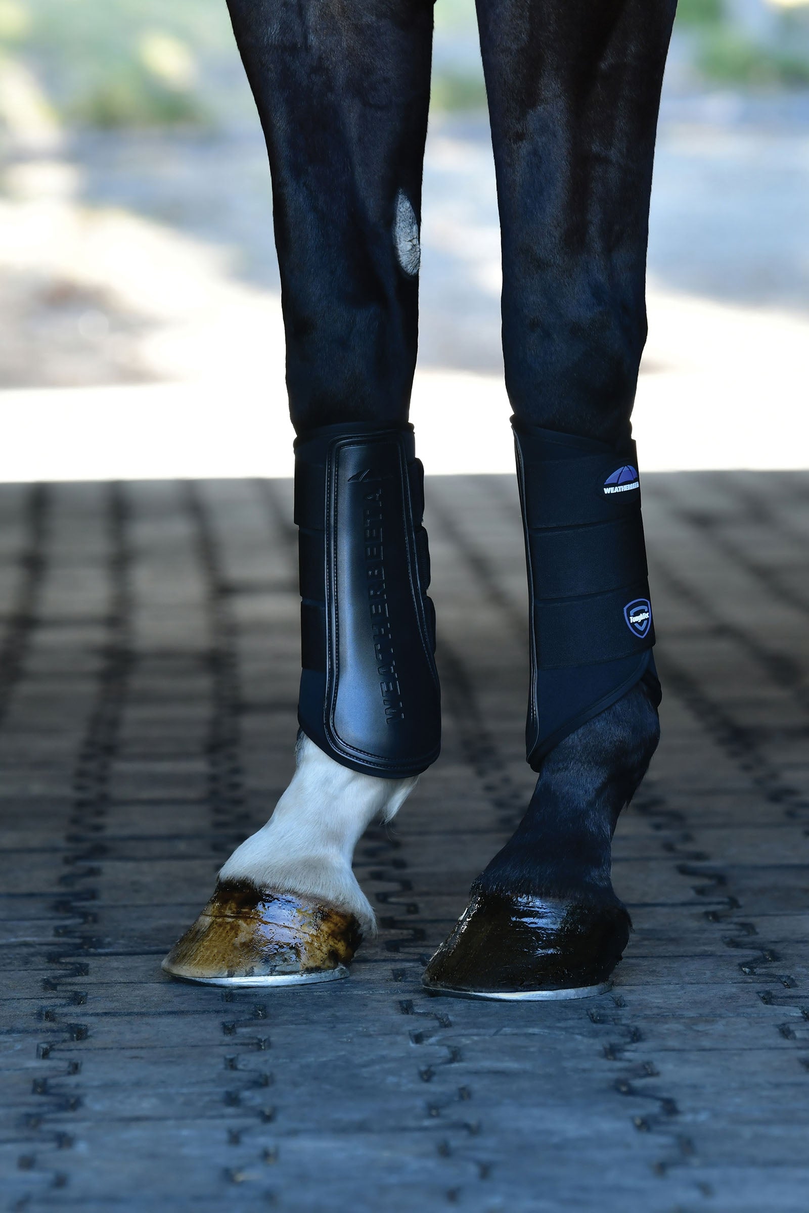 Weatherbeeta Tough-Tec Prime Brushing Boots Leg Protection & Hoof Protection for Horses