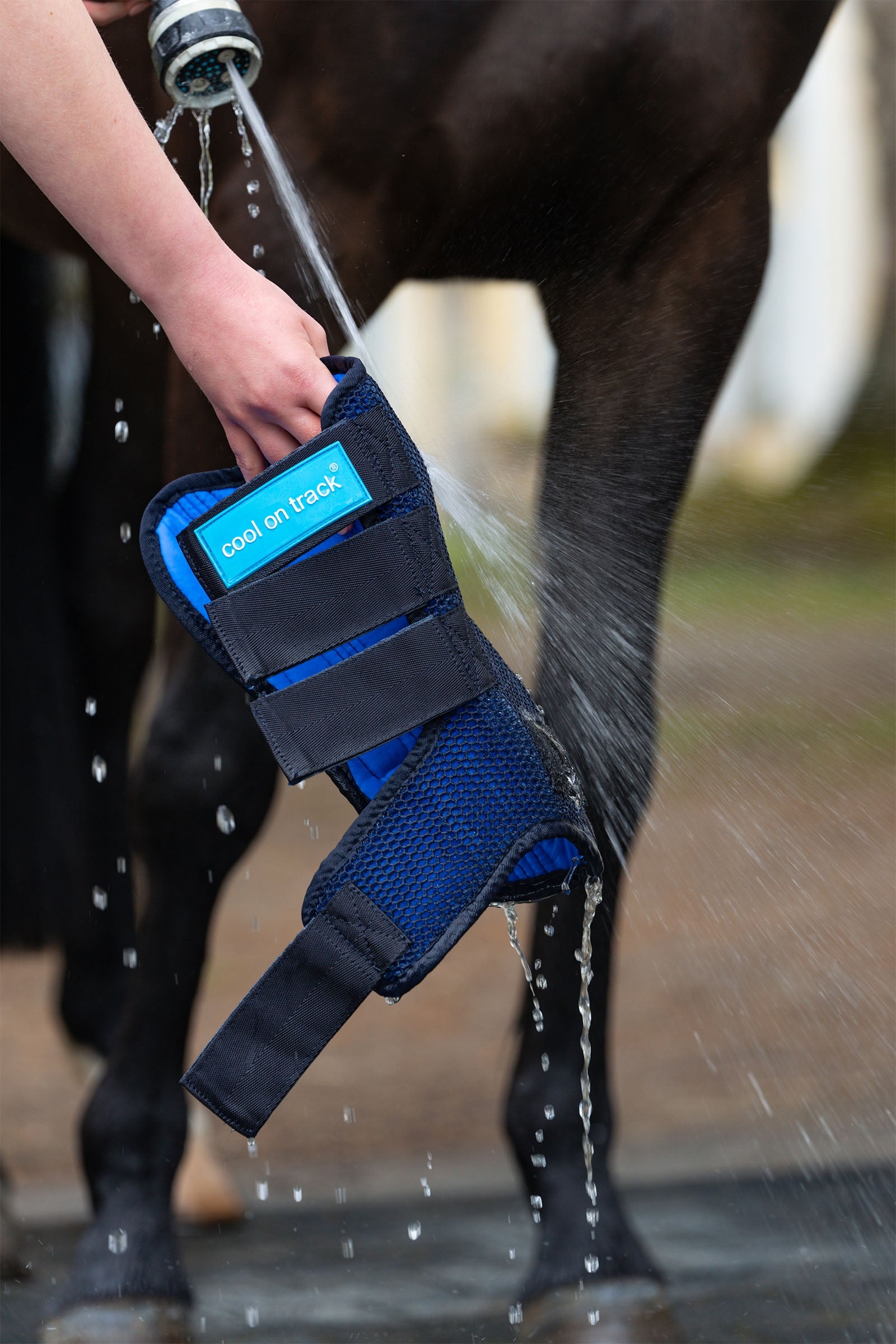 Back on Track Cool on Track Quick wraps Leg Protection & Hoof Protection for Horses
