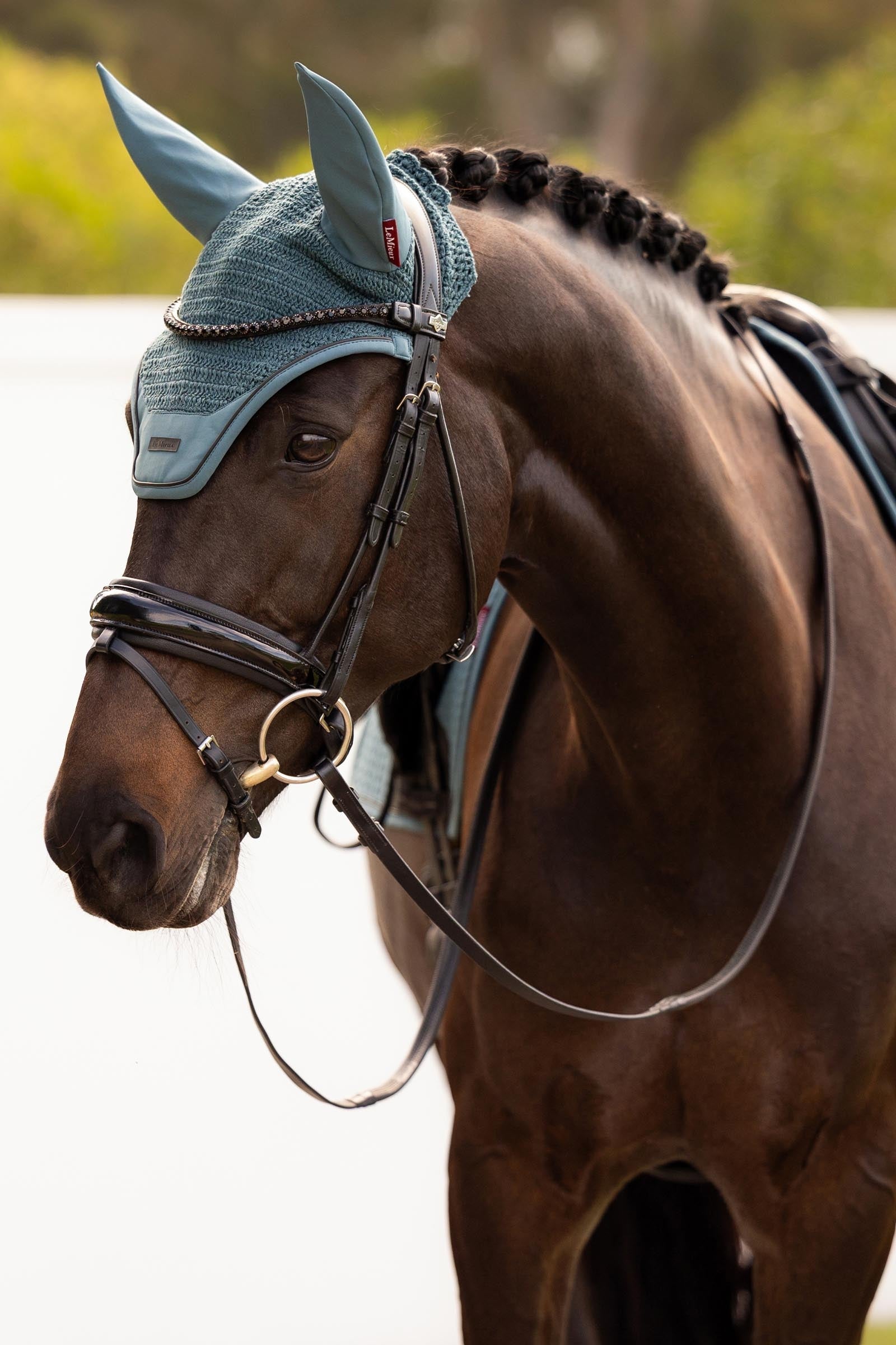 LeMieux Essence Acoustic Fly Hood Saddle Pads