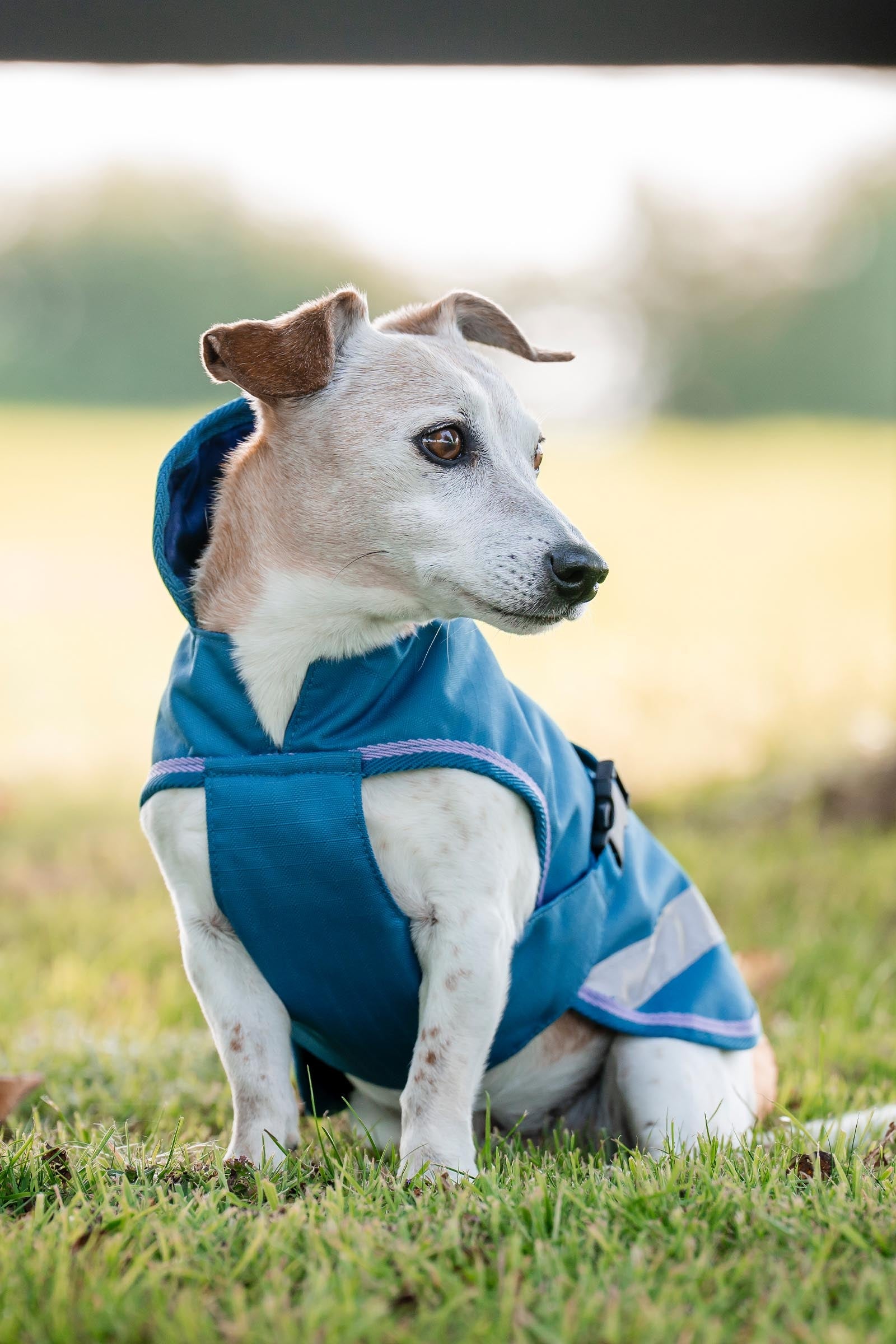 Lifestyle shot 2