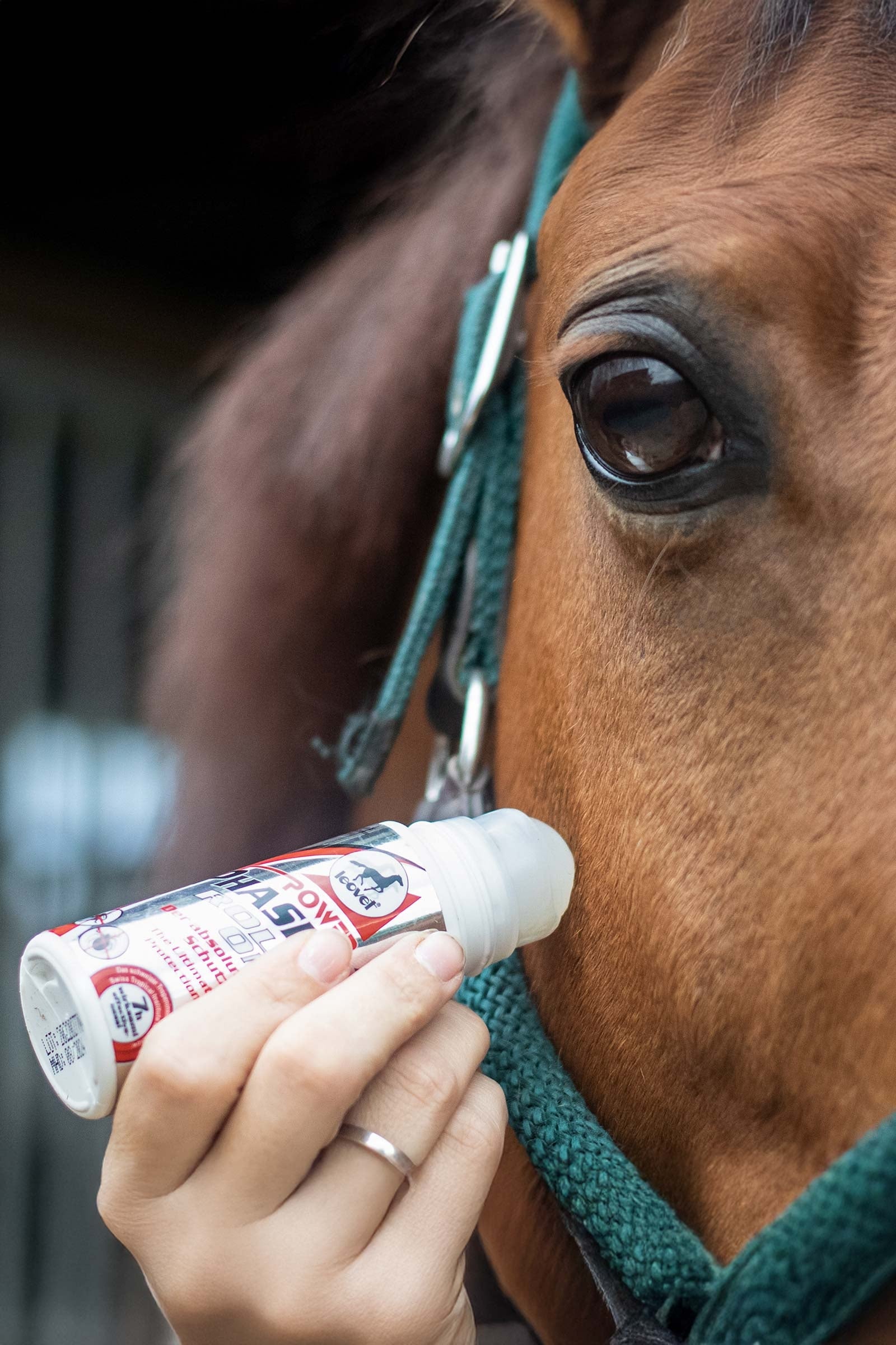 Leovet Power Phaser Roll On 75ml Antifly Protection for Horses