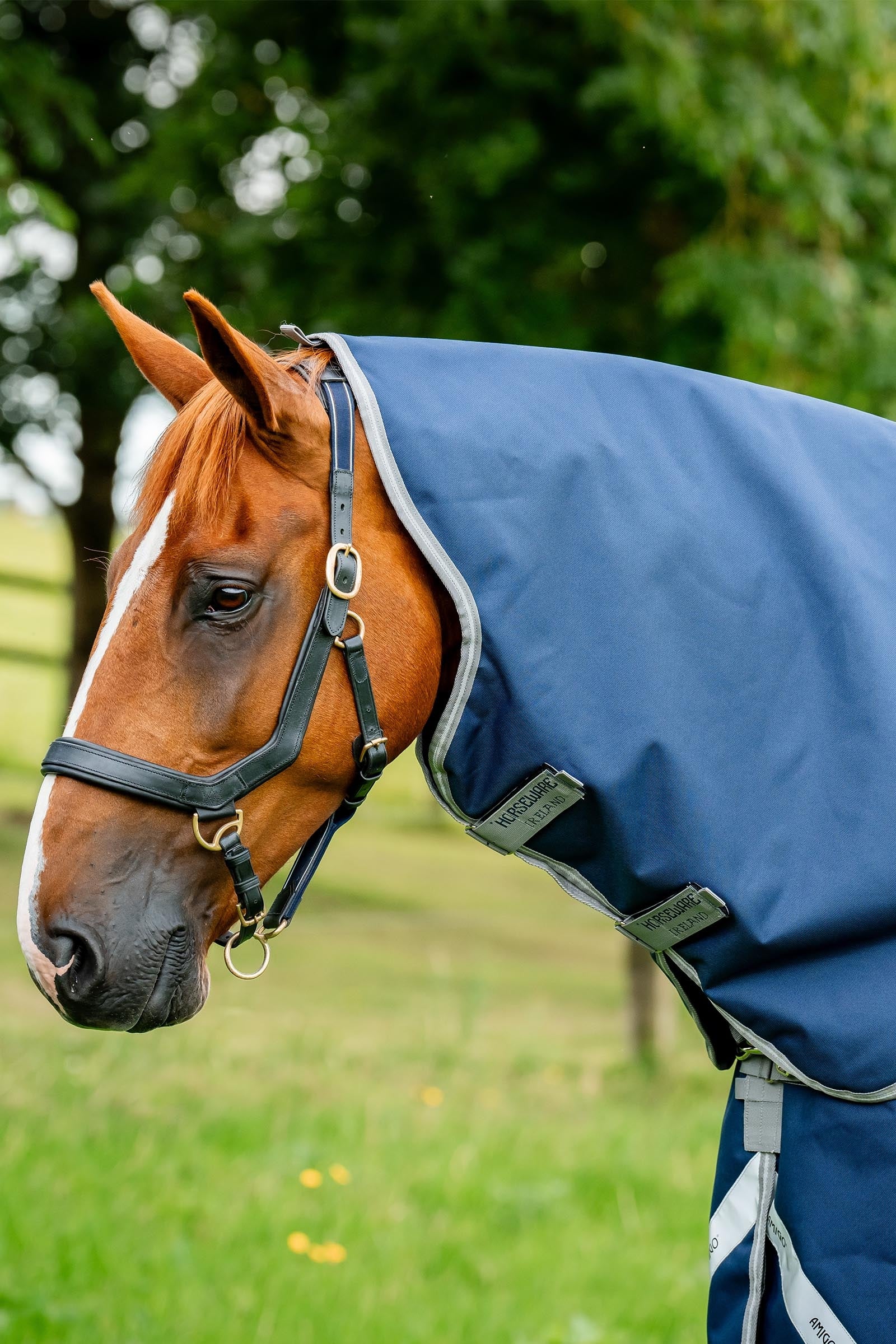 Horseware Amigo Bravo 12 Halsteil 0g Pferdedecken