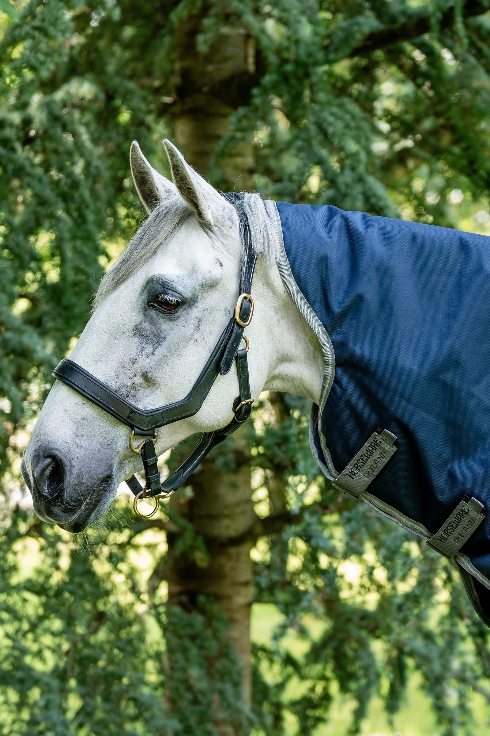 Horseware Amigo Bravo 12 Hood 0g Horse Rugs