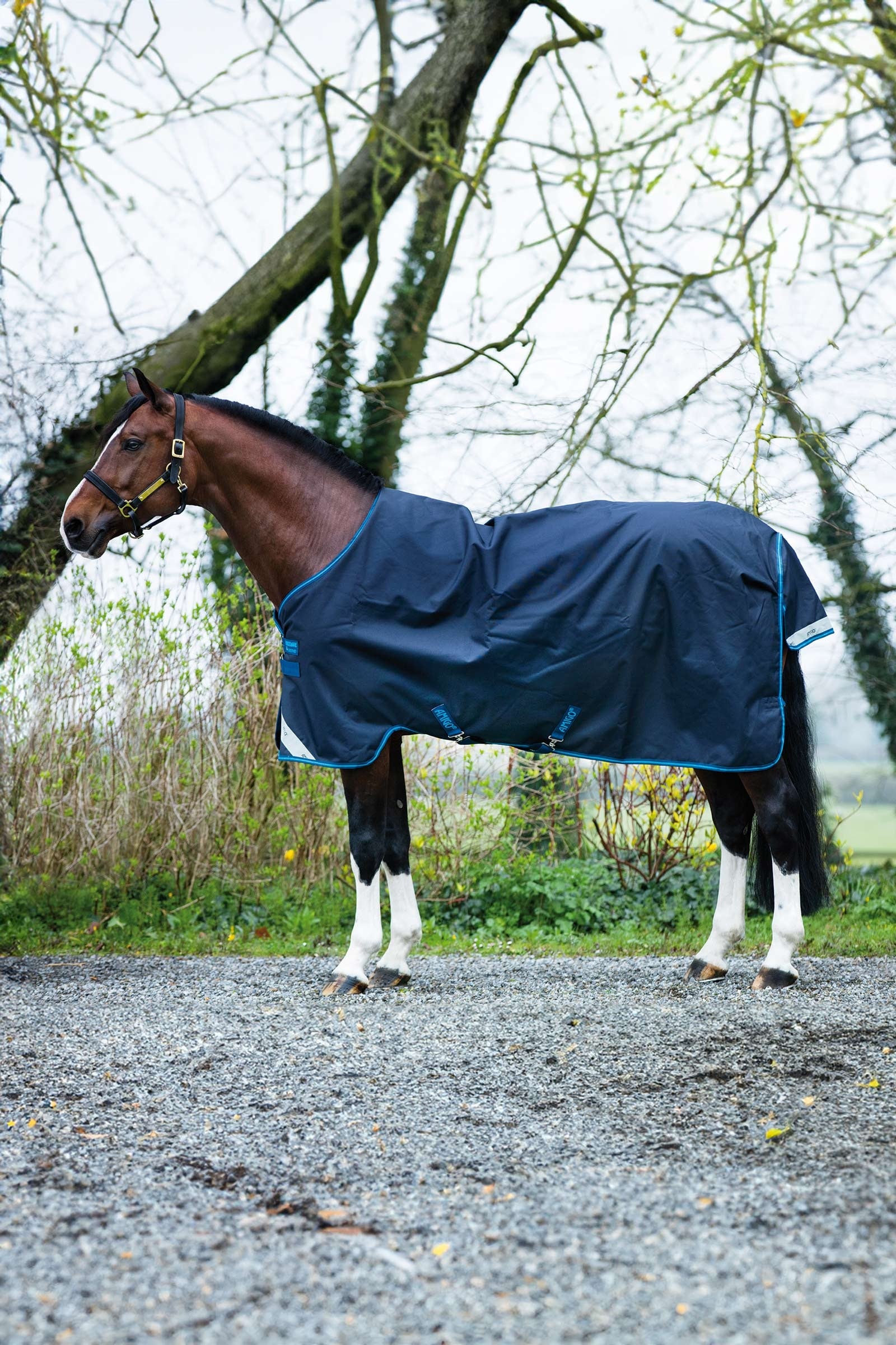 Horseware Amigo Bravo 12 Weidedecke, 100g Pferdedecken