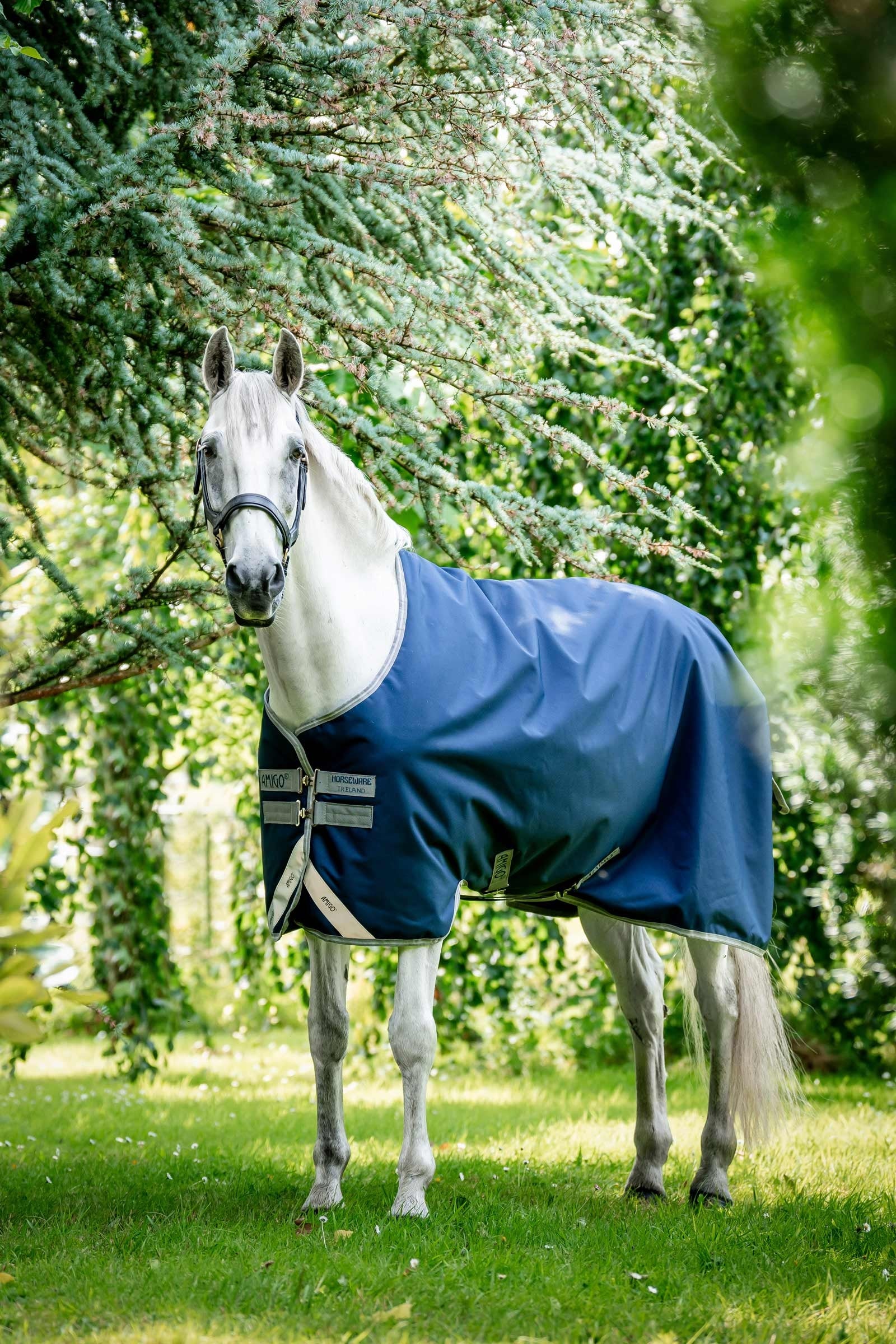 Horseware Amigo Bravo 12 Weidedecke, 100g Pferdedecken
