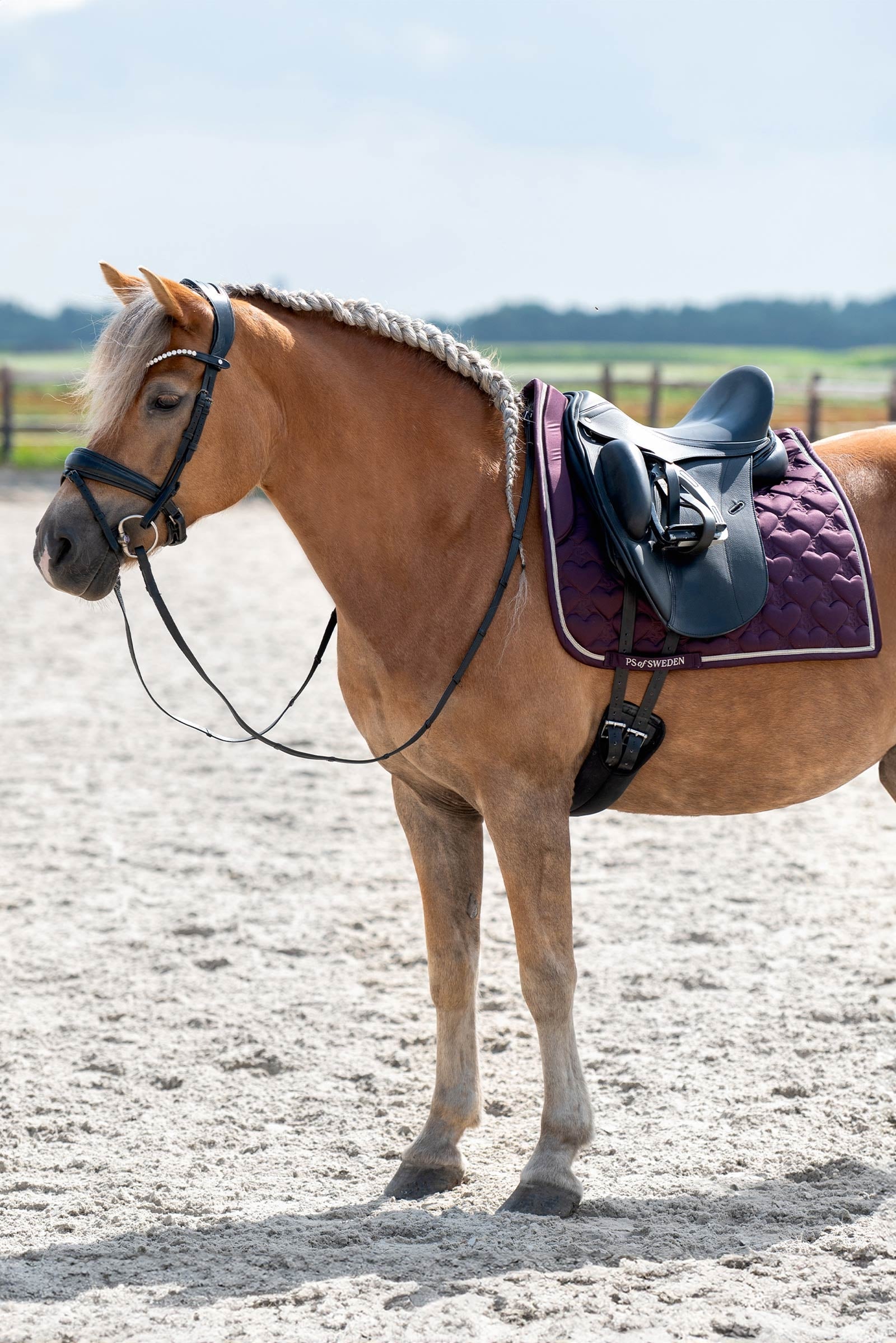 PS of Sweden Heart Dressage Saddle Pad Saddle Pads