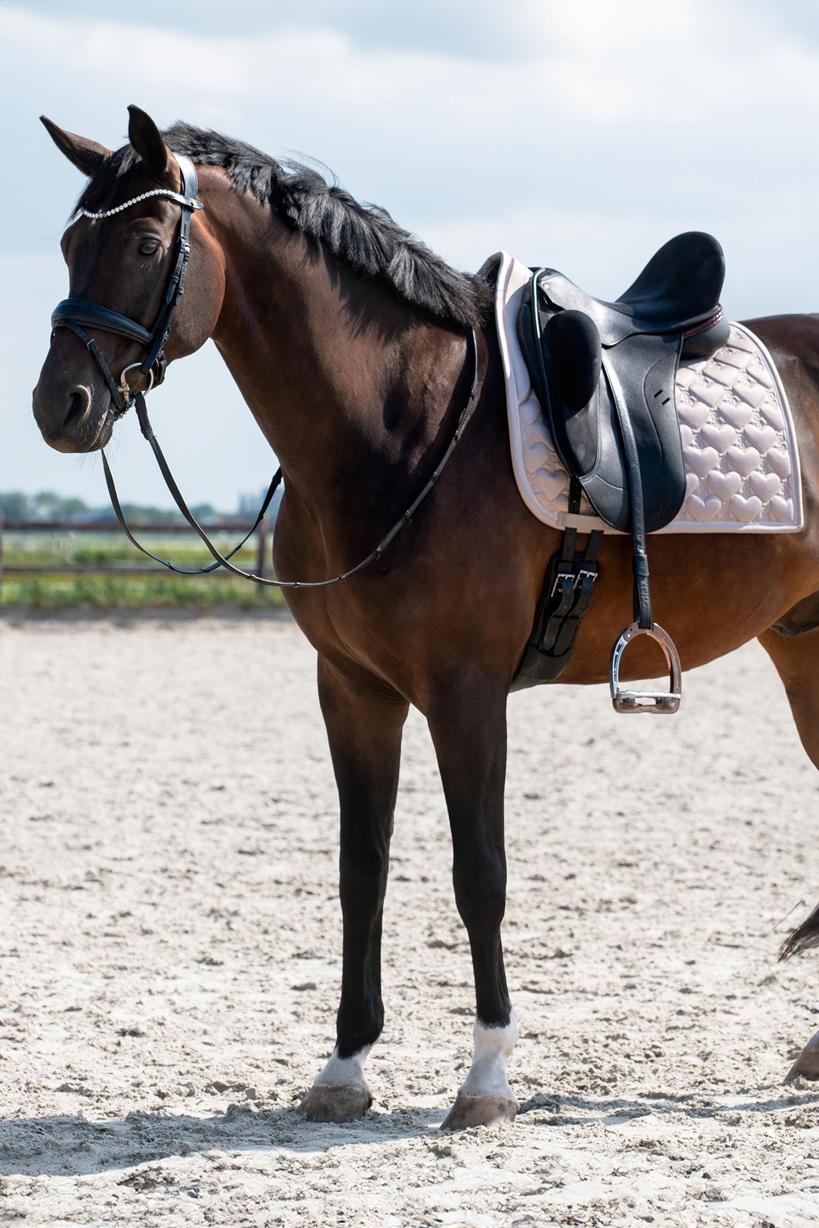 PS of Sweden Heart Dressage Saddle Pad Saddle Pads