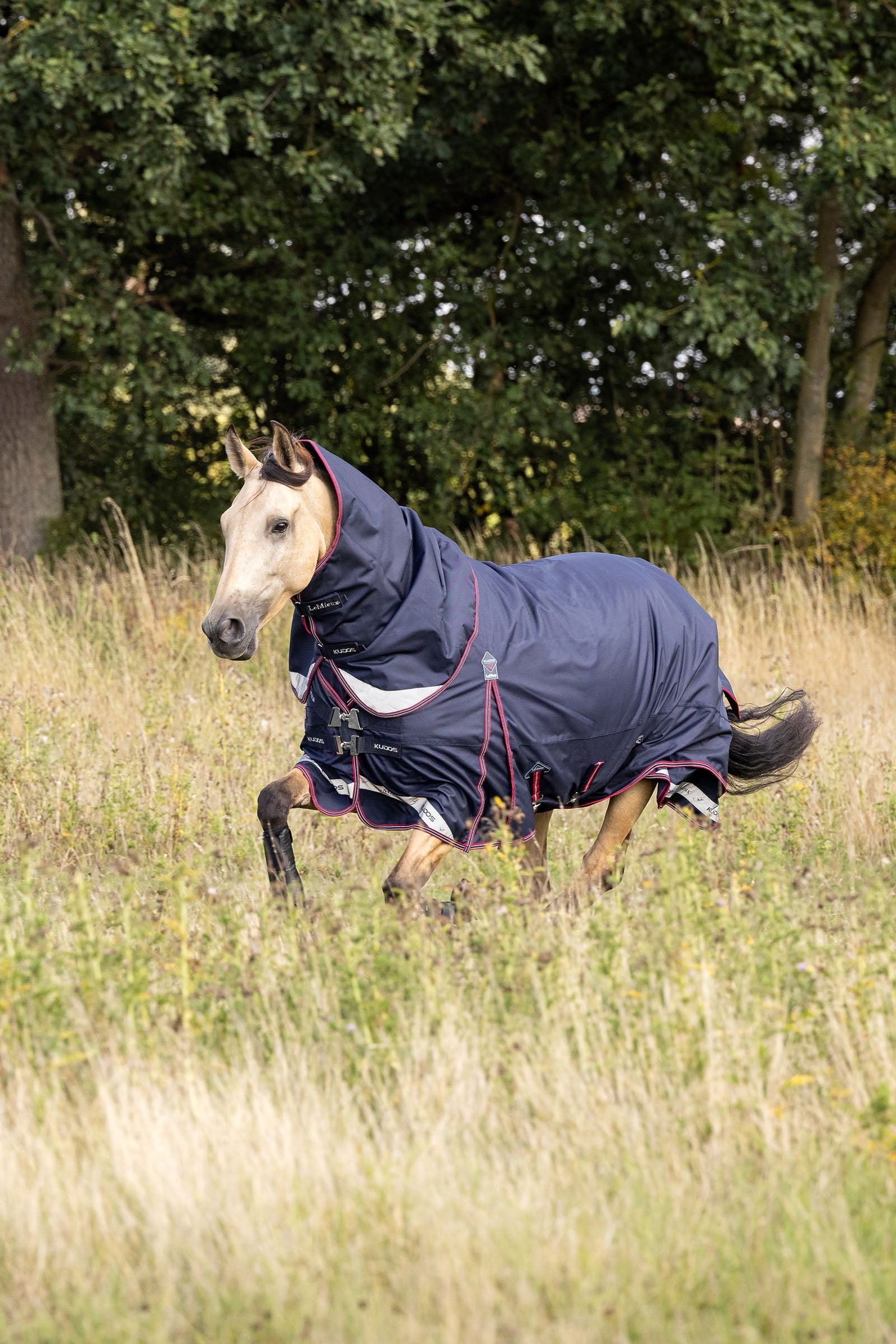 LeMieux Kudos Lightweight Turnout Rug 100g Horse Rugs