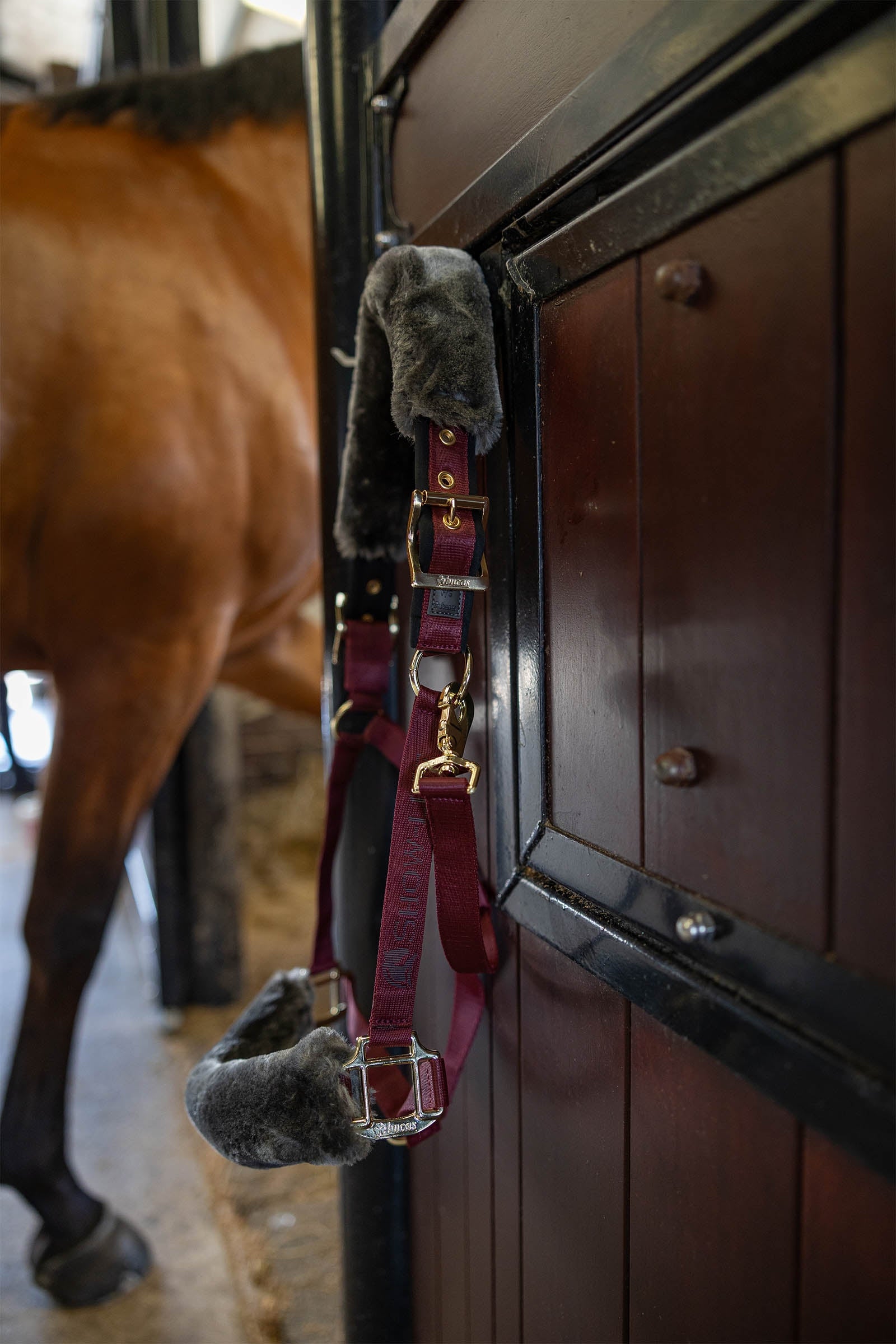 Bucas Show-Line Halter Halters & Leads